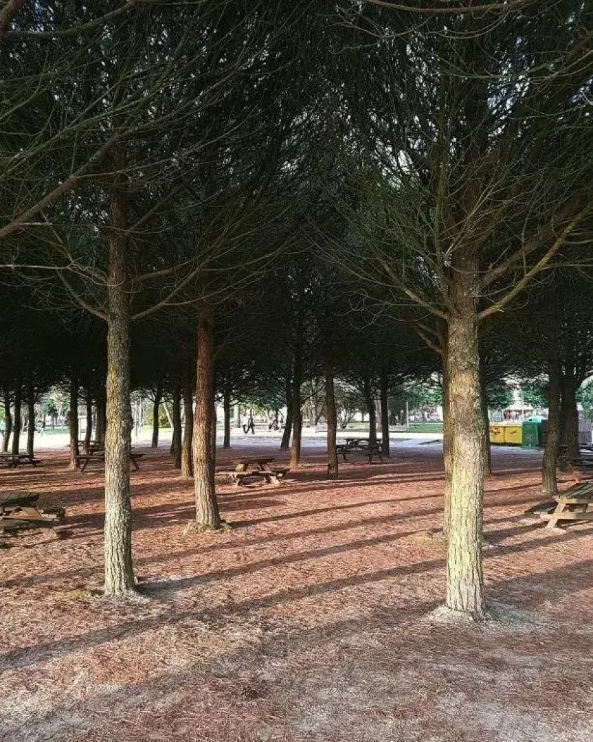 Vistas a la Ría de Arousa