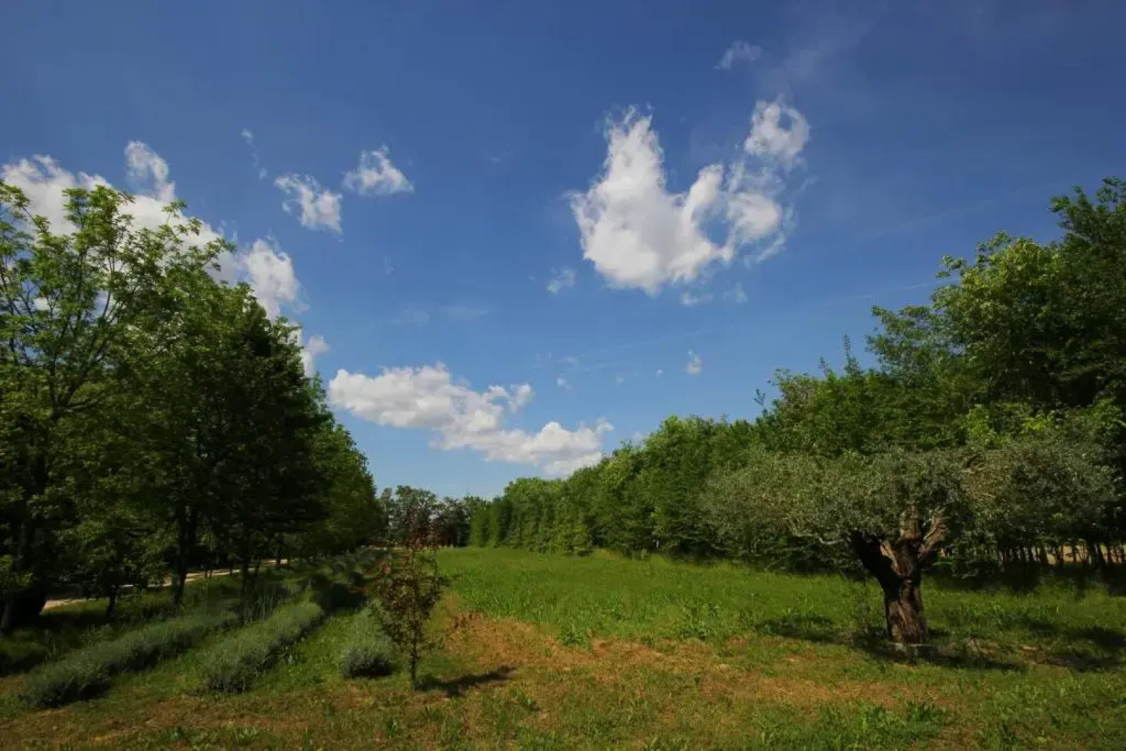 B&B Collegio Dei Palazzi