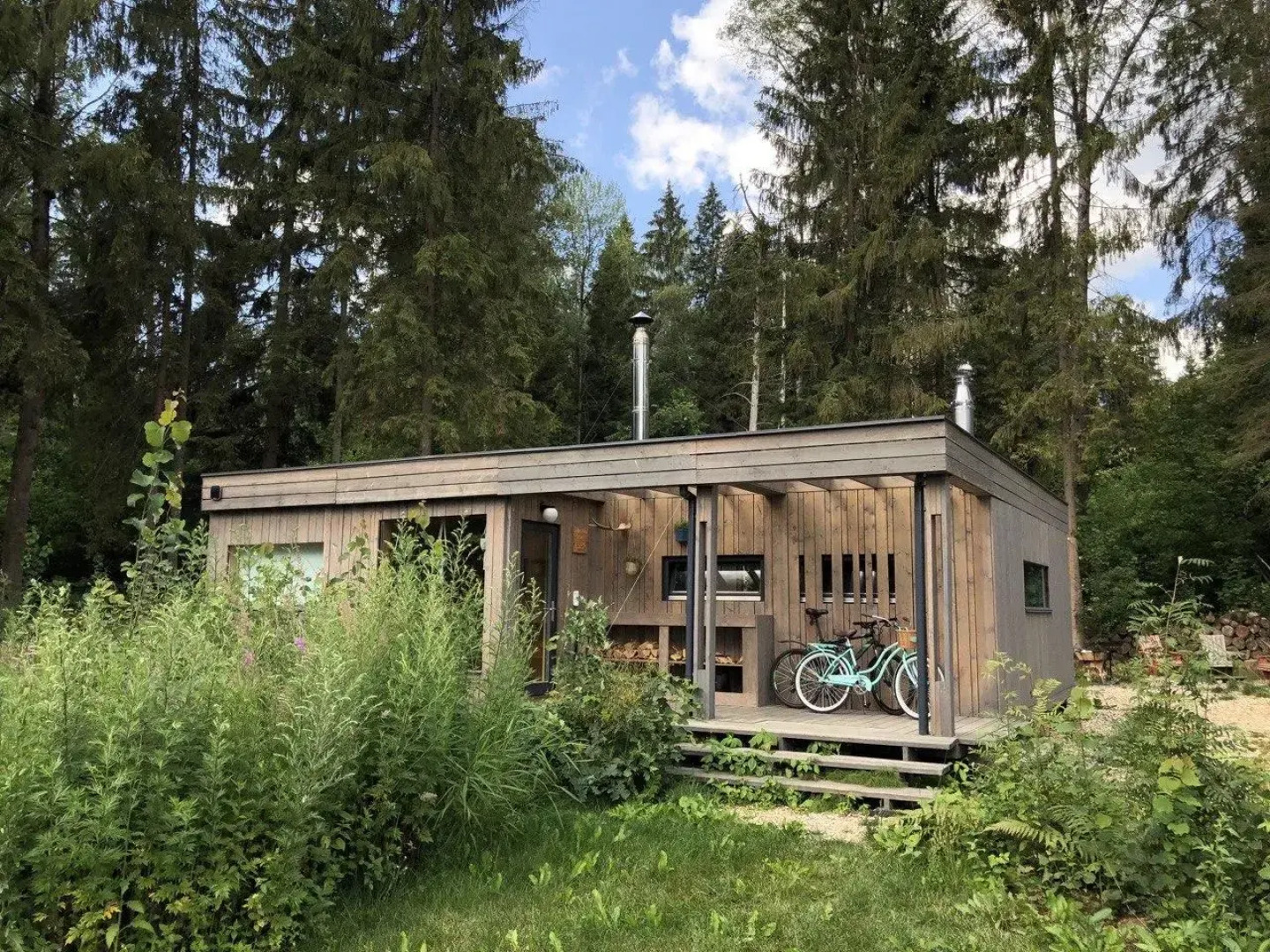 Шале в хвойном лесу