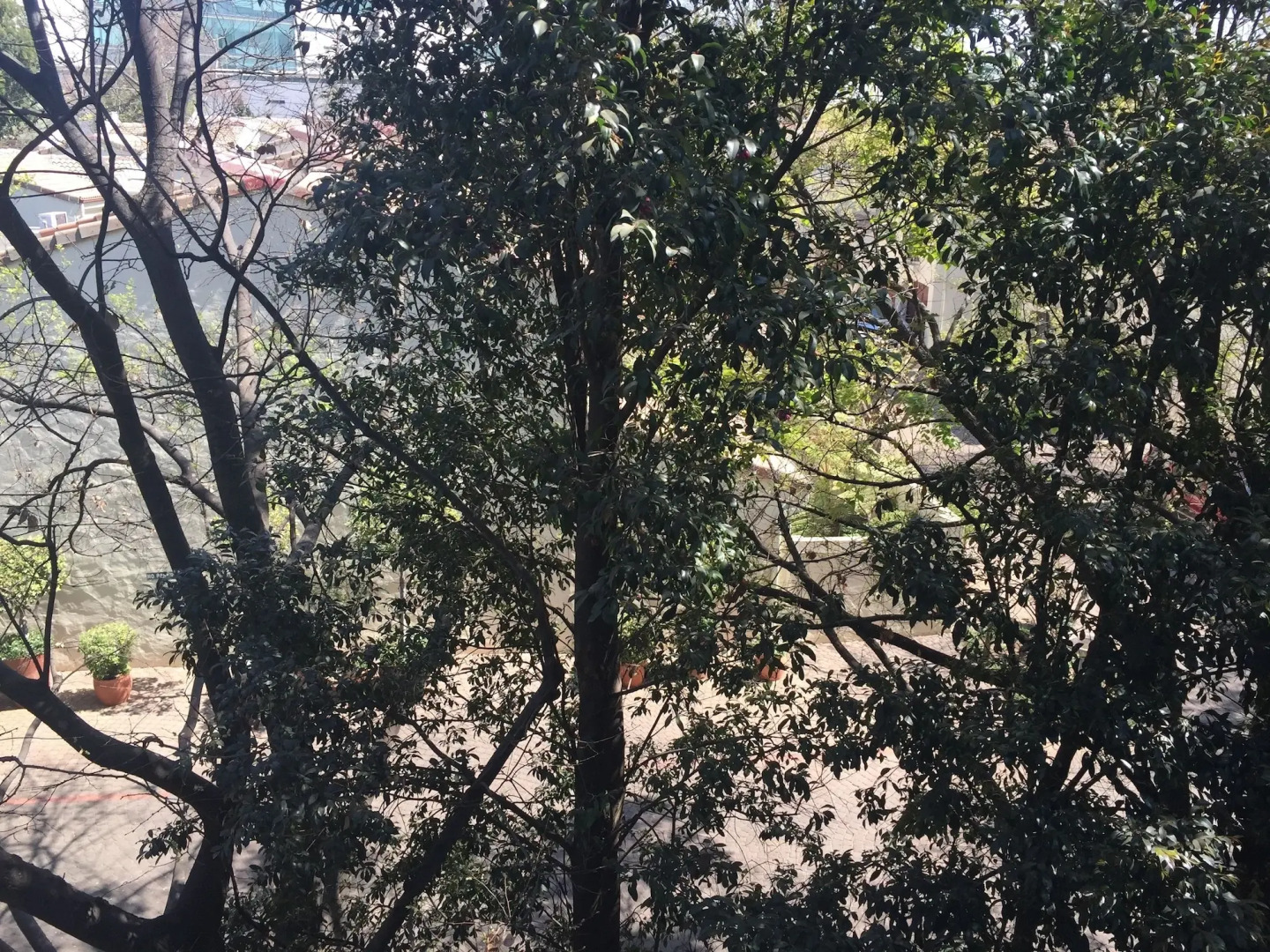 The Max Hotel Sandton