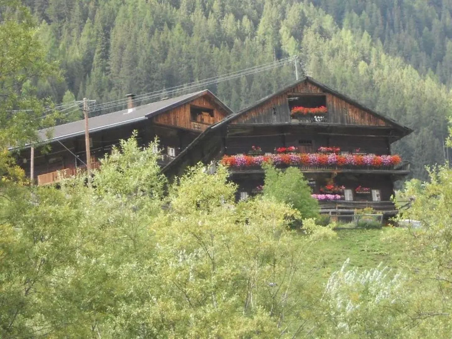 Ferienwohnungen Michaela Ortner