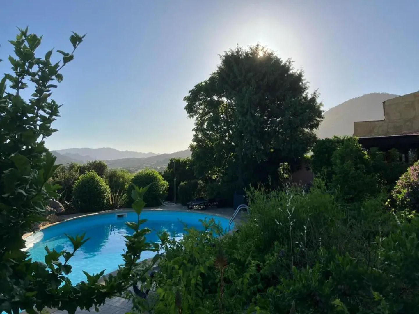 Angelo e Arcangela - Nuova Gestione 2022