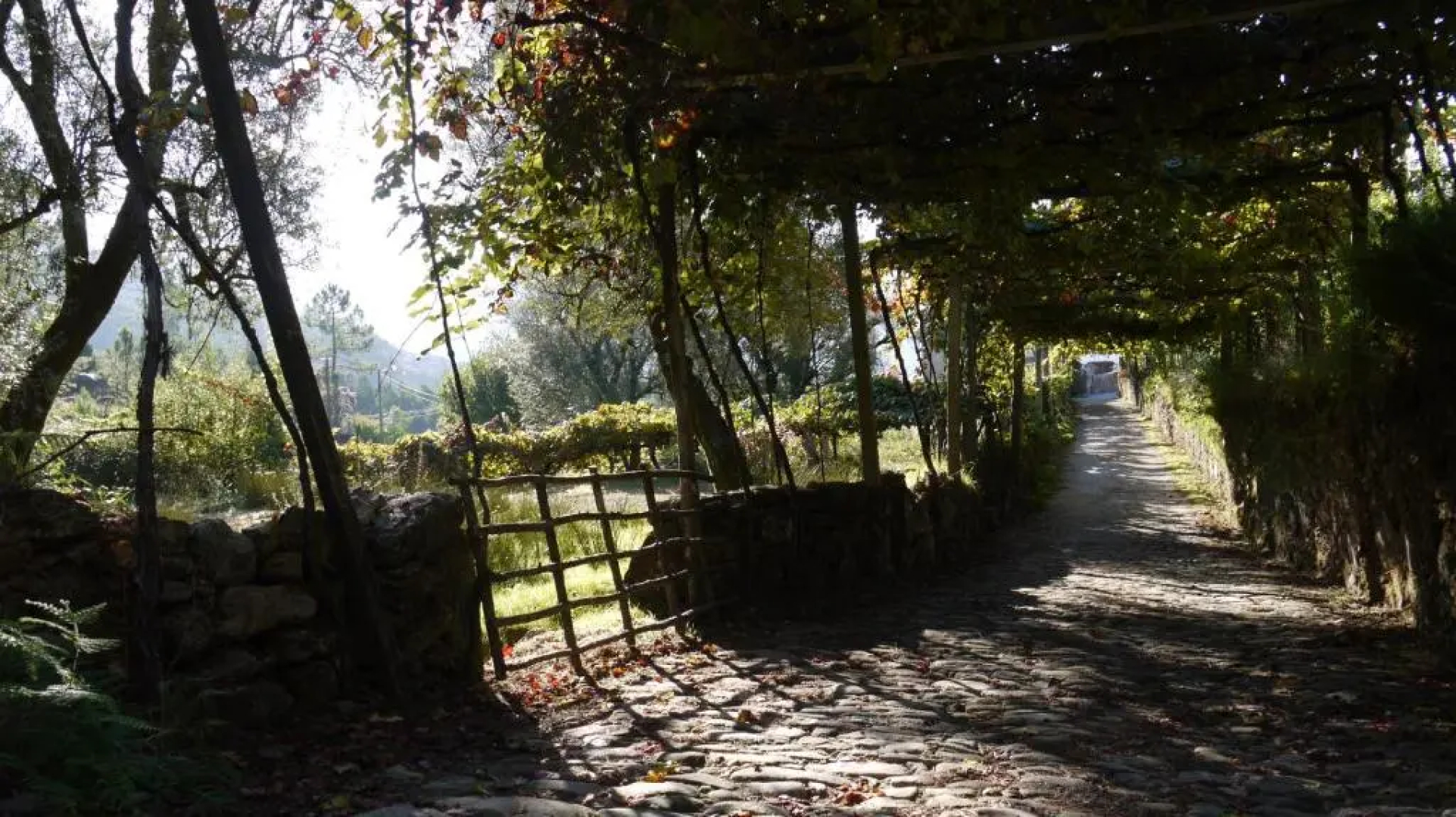 Quinta das Leiras- Rubiaes