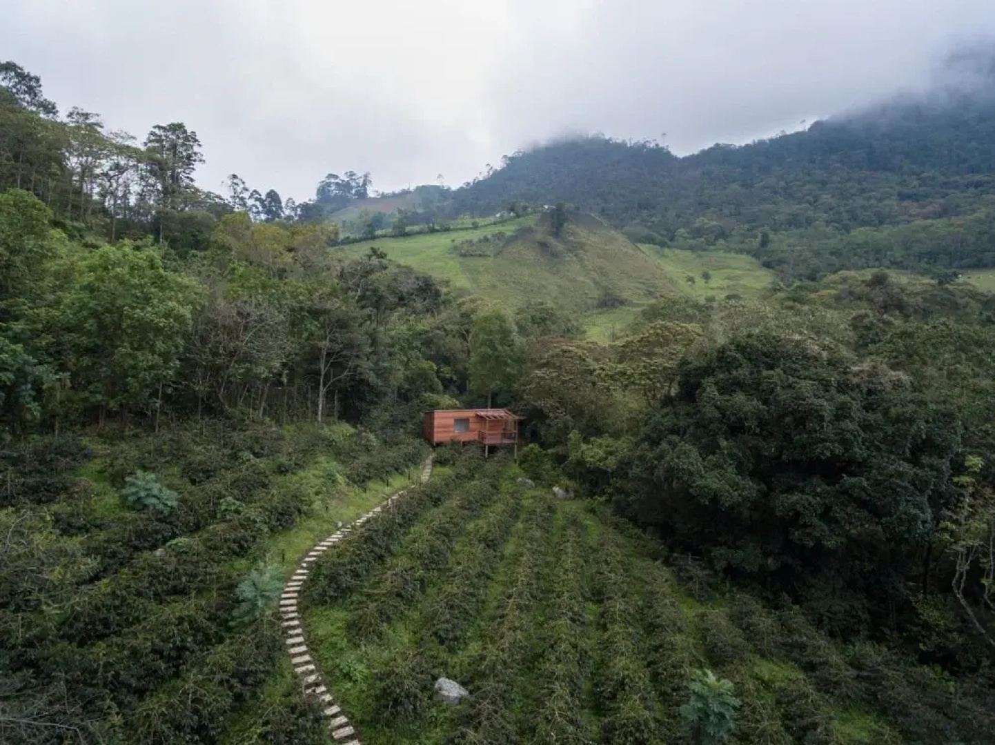 Coffee Adventures By La Palma y El Tucan
