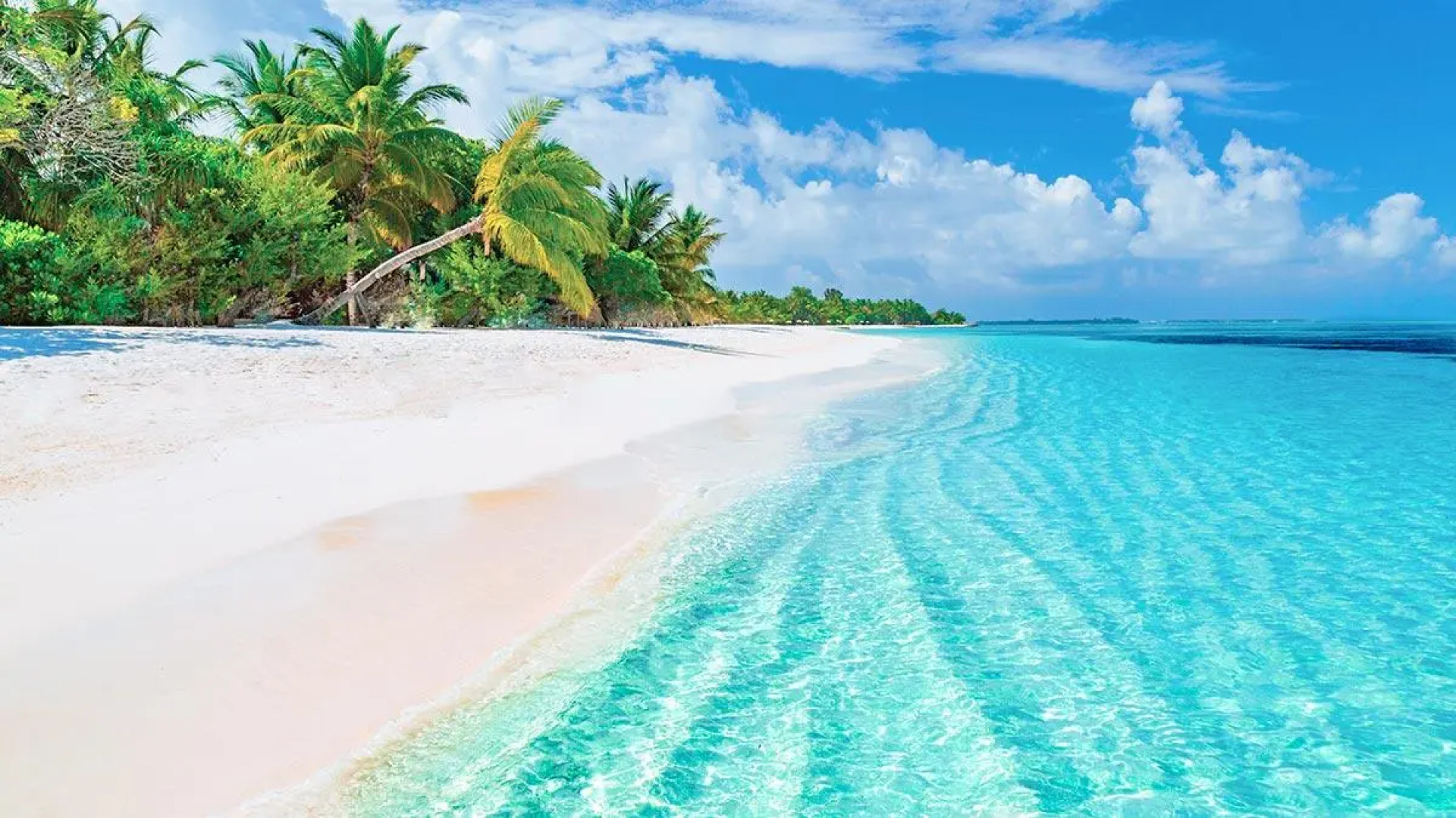 Royalton Splash Riviera Cancun, An Autograph Collection All-Inclusive Resort