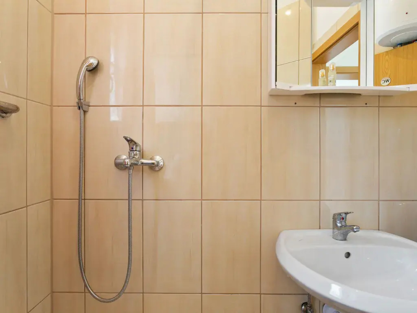 Home Near Red Lake in Ricice