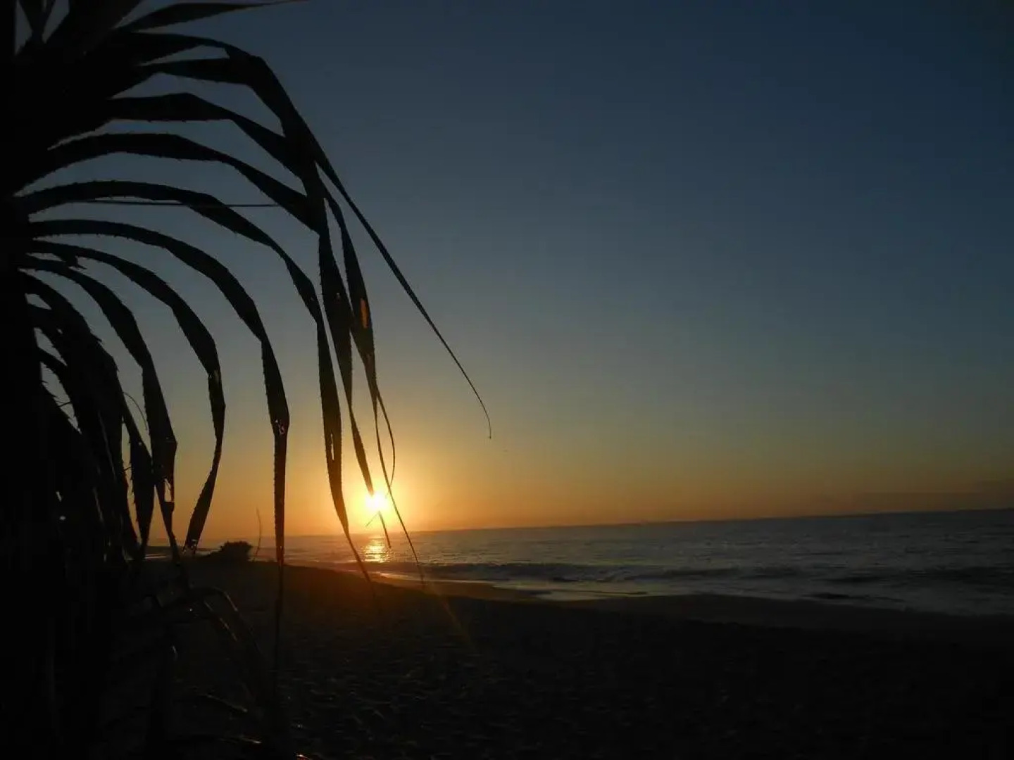 The Waves Beach Chalets