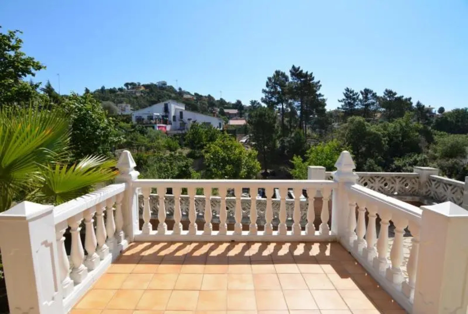 Club Villamar - Poppy