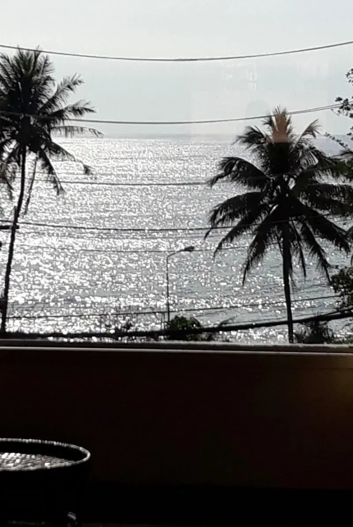 Porterhouse Beach Hotel