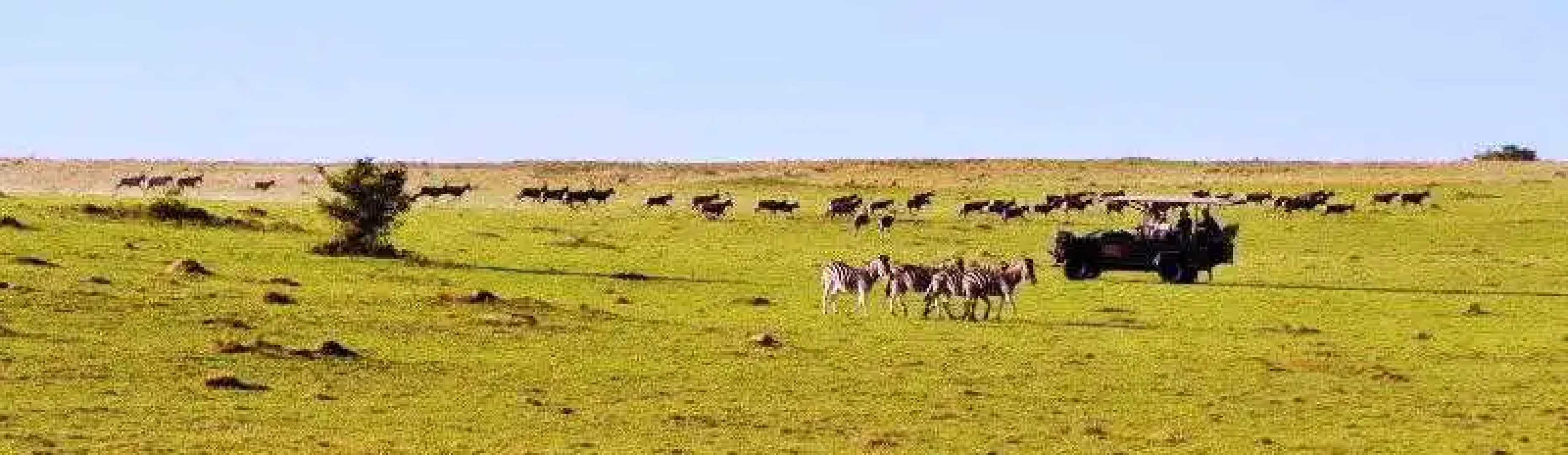Pollards Inn Hotel, Kwantu Game Reserve