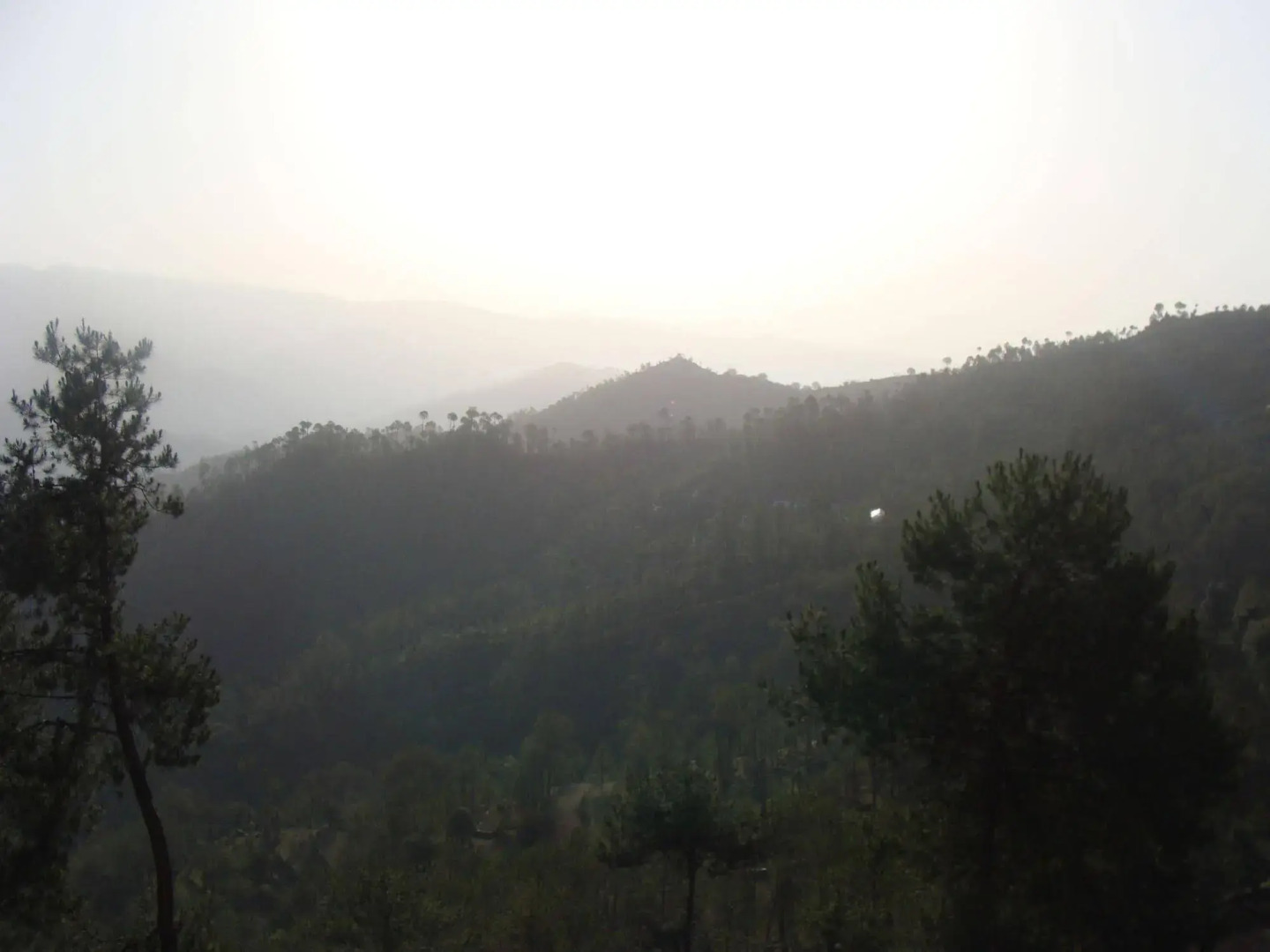 Woodsvilla Residency Ranikhet