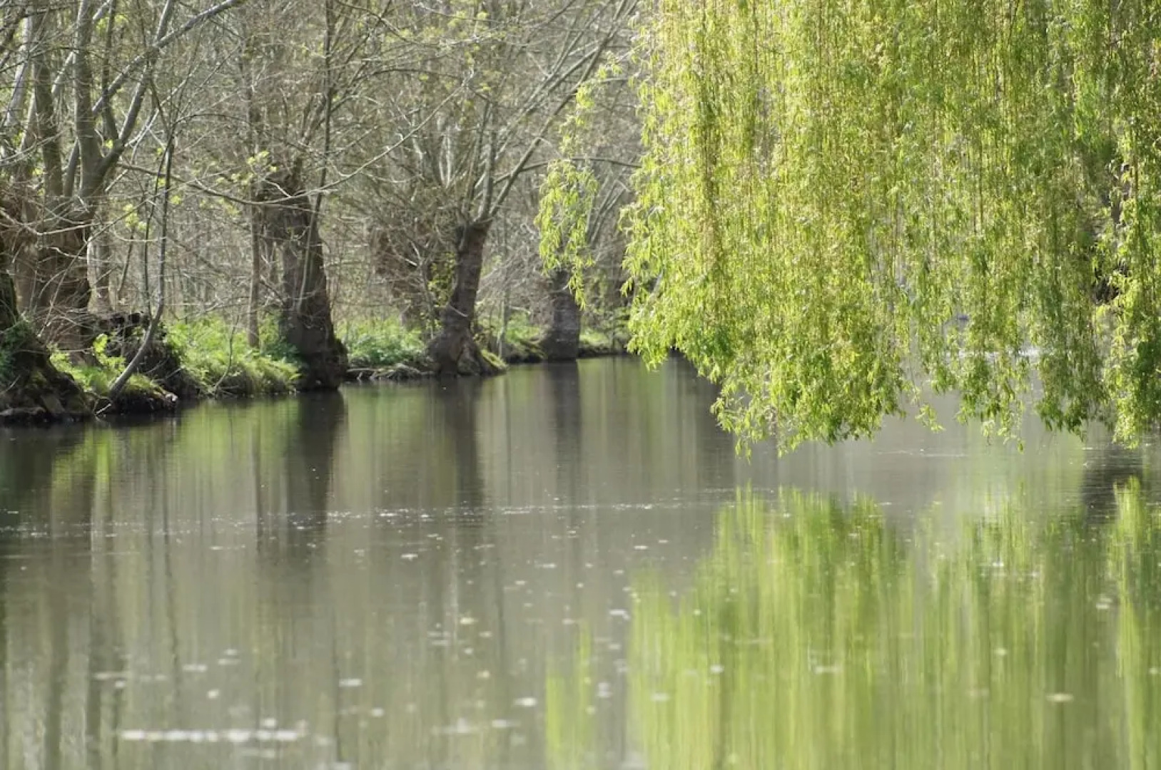 Camping l'ilot Du Chail