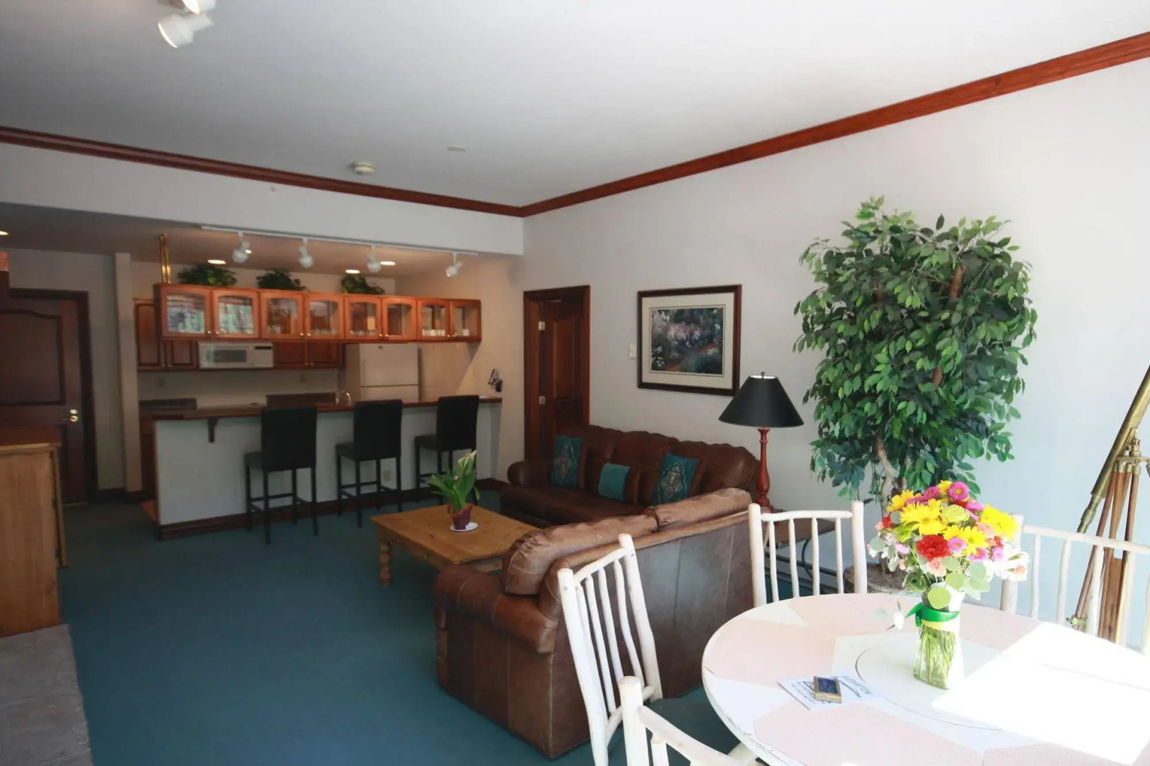 Elevation Accommodations