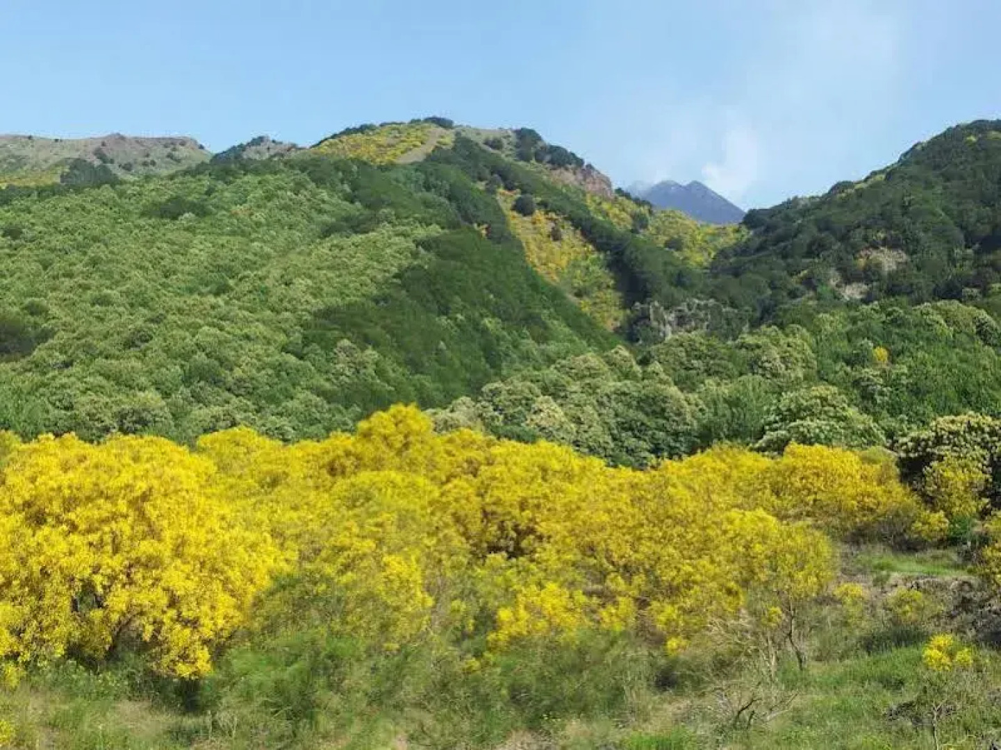 Villa Rosa Etna Bed & Breakfast