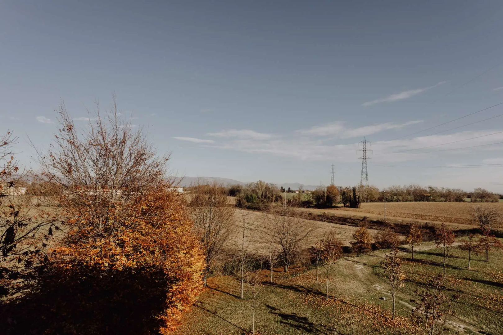 Privilege Apartments