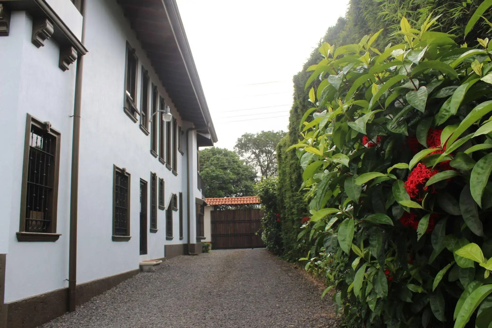Ruta Verde House