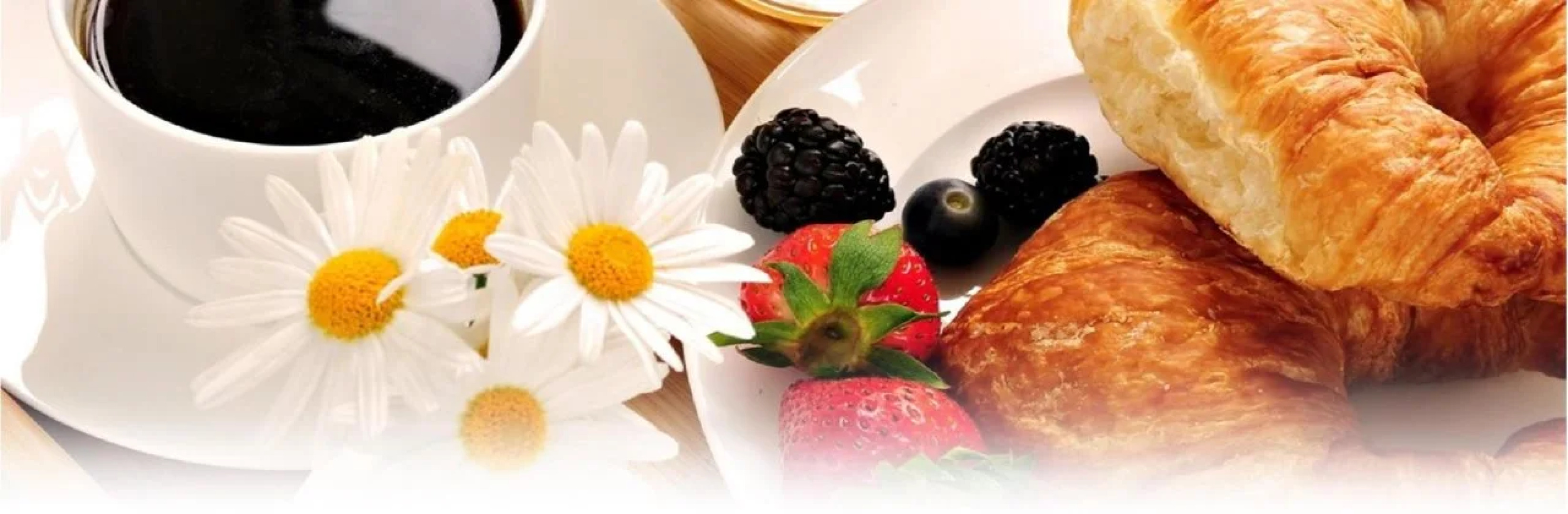 AmeriVu Inn & Suites