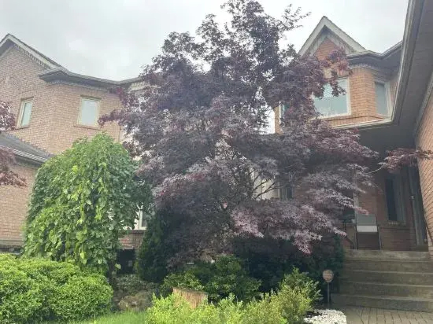 Private House Basement Suite Toronto/Richmond Hill