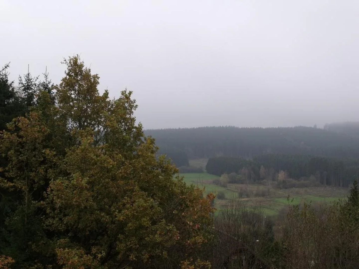 Auberge "La Fourchette Paysanne"