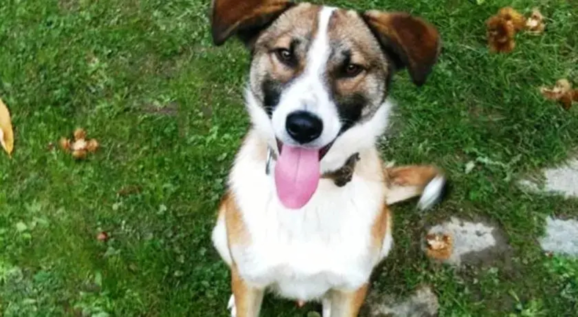 Sessiz Ev Ciftlik Hotel