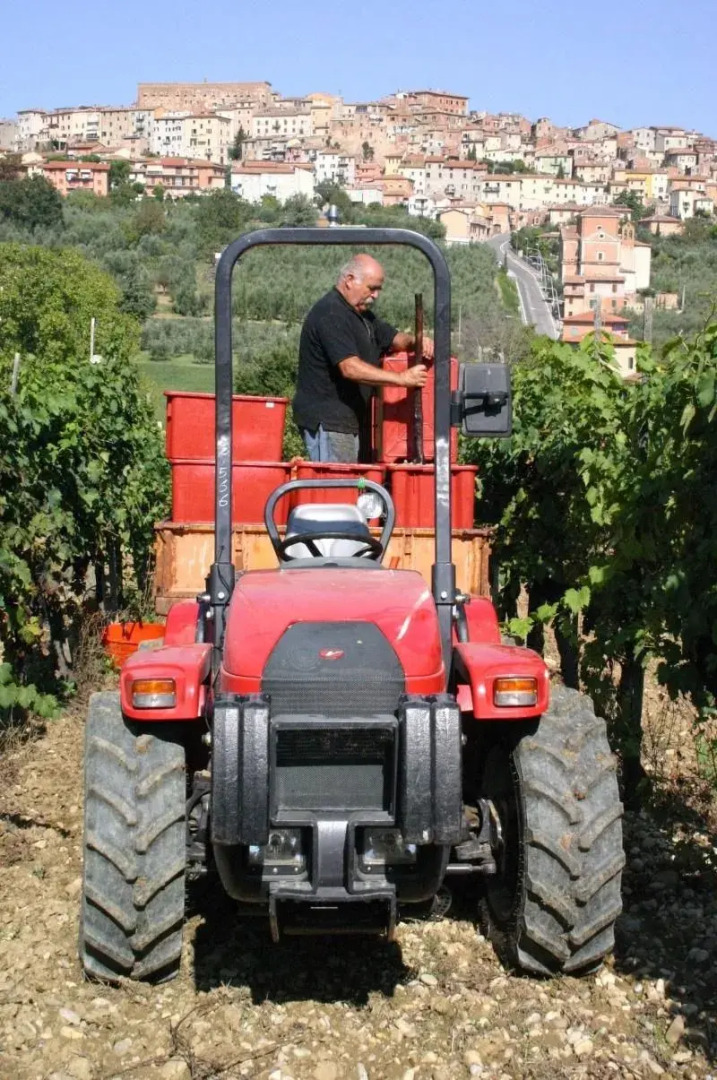 Agriturismo La Pietriccia