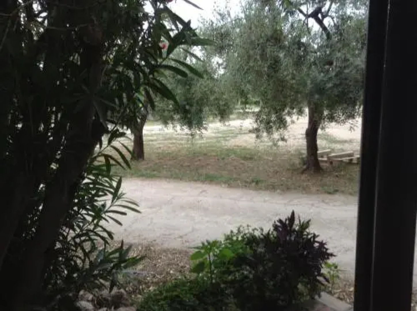 Agriturismo Santo Stefano