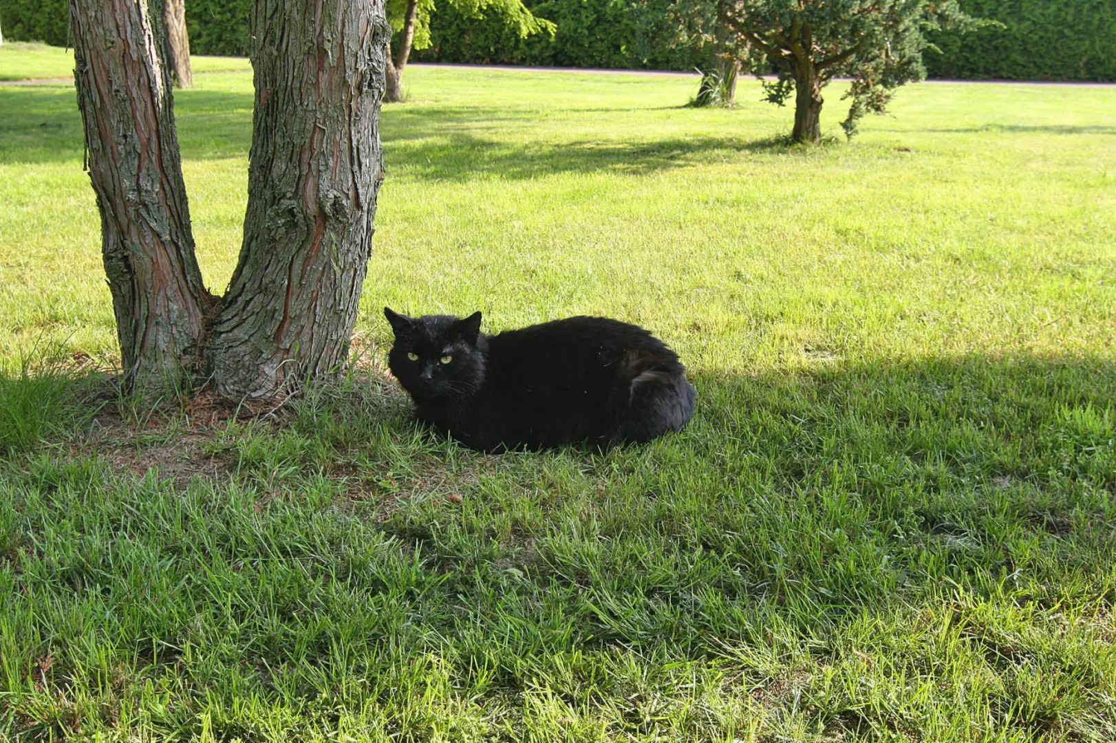 Doppelhaushalfte, Plau am See