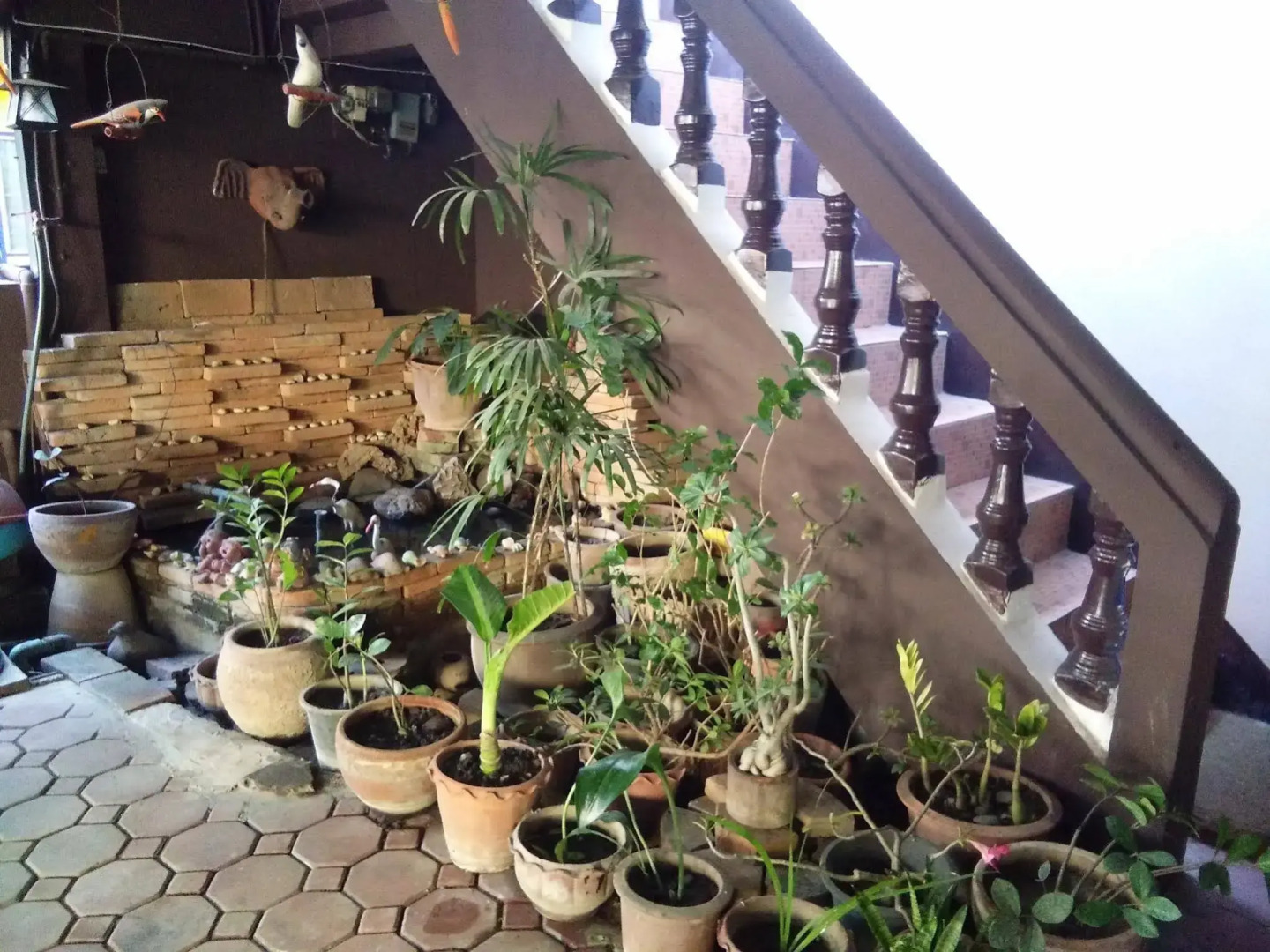 North Star Guest House