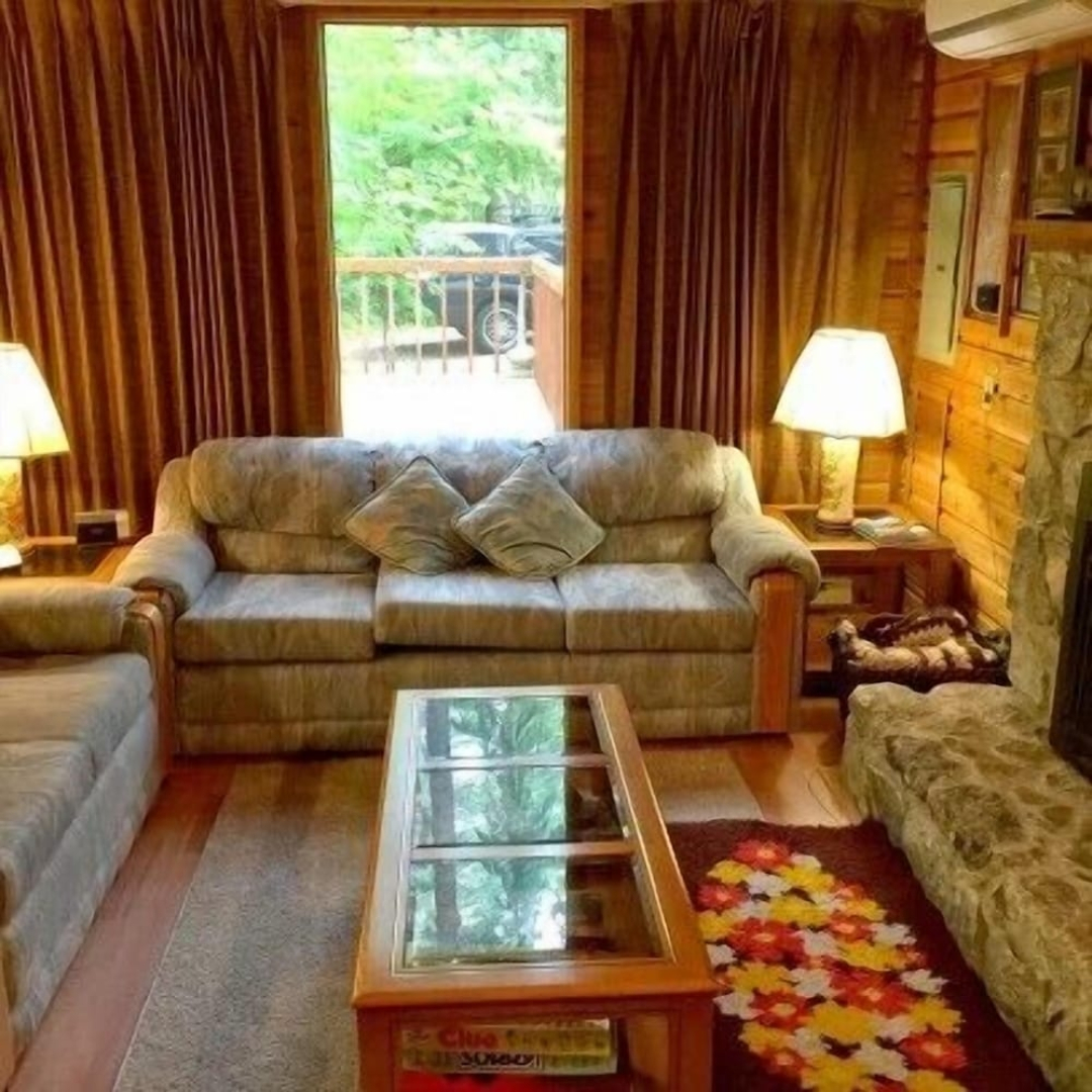 Mt Baker Lodging Cabin 35 - Sleeps 6