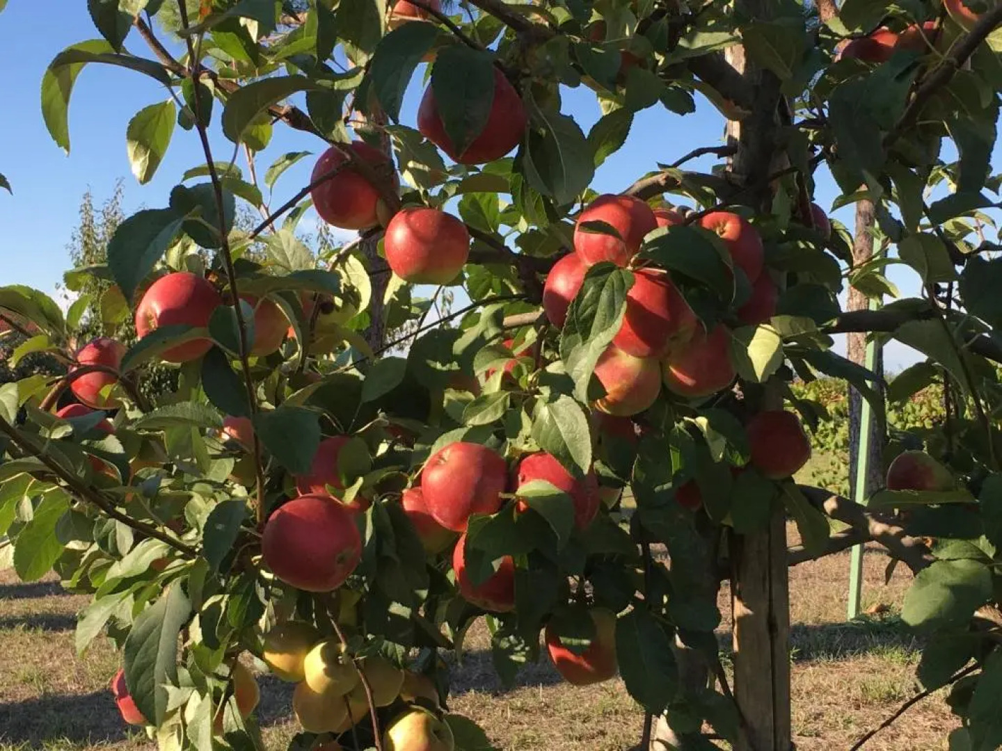 La Corte D'Emilio B&B