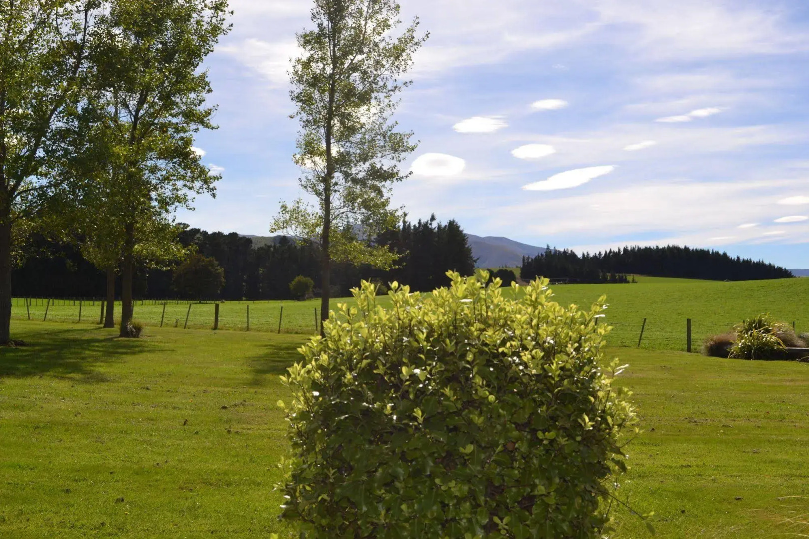 Quickenberry Guesthouse