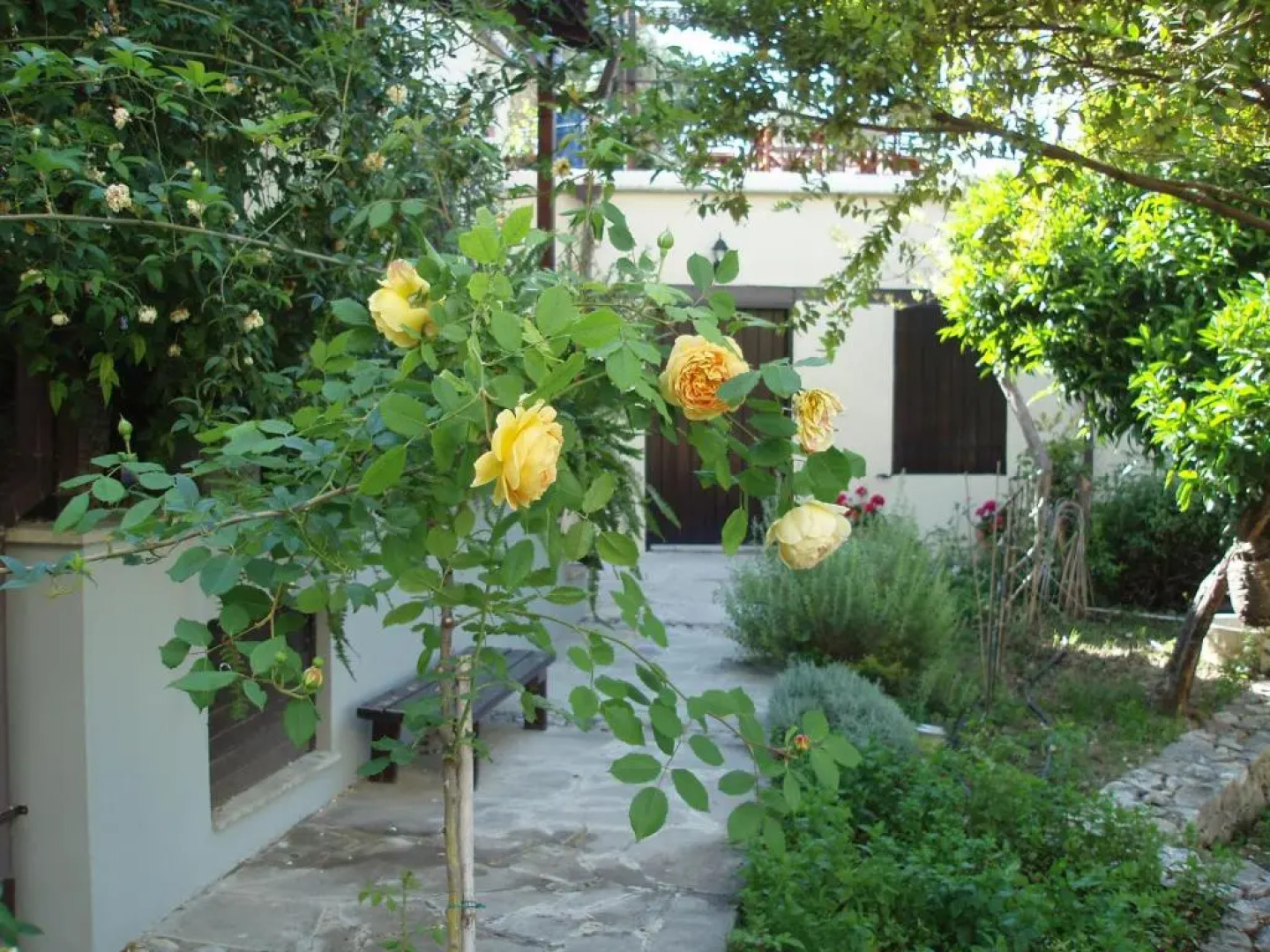 Vasilion Agrotourism