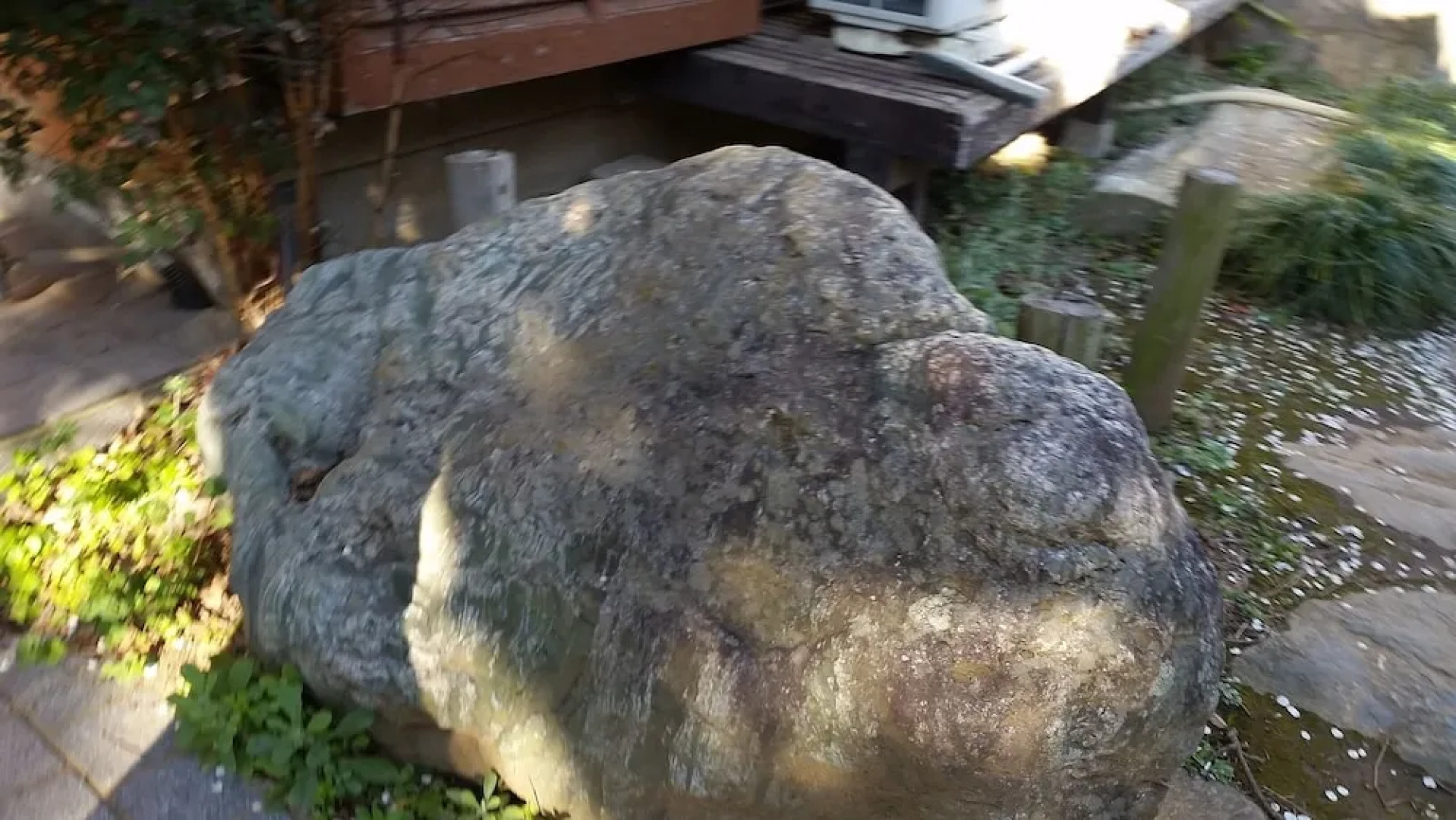 Higashi Matsudo Home Narita AP Direct