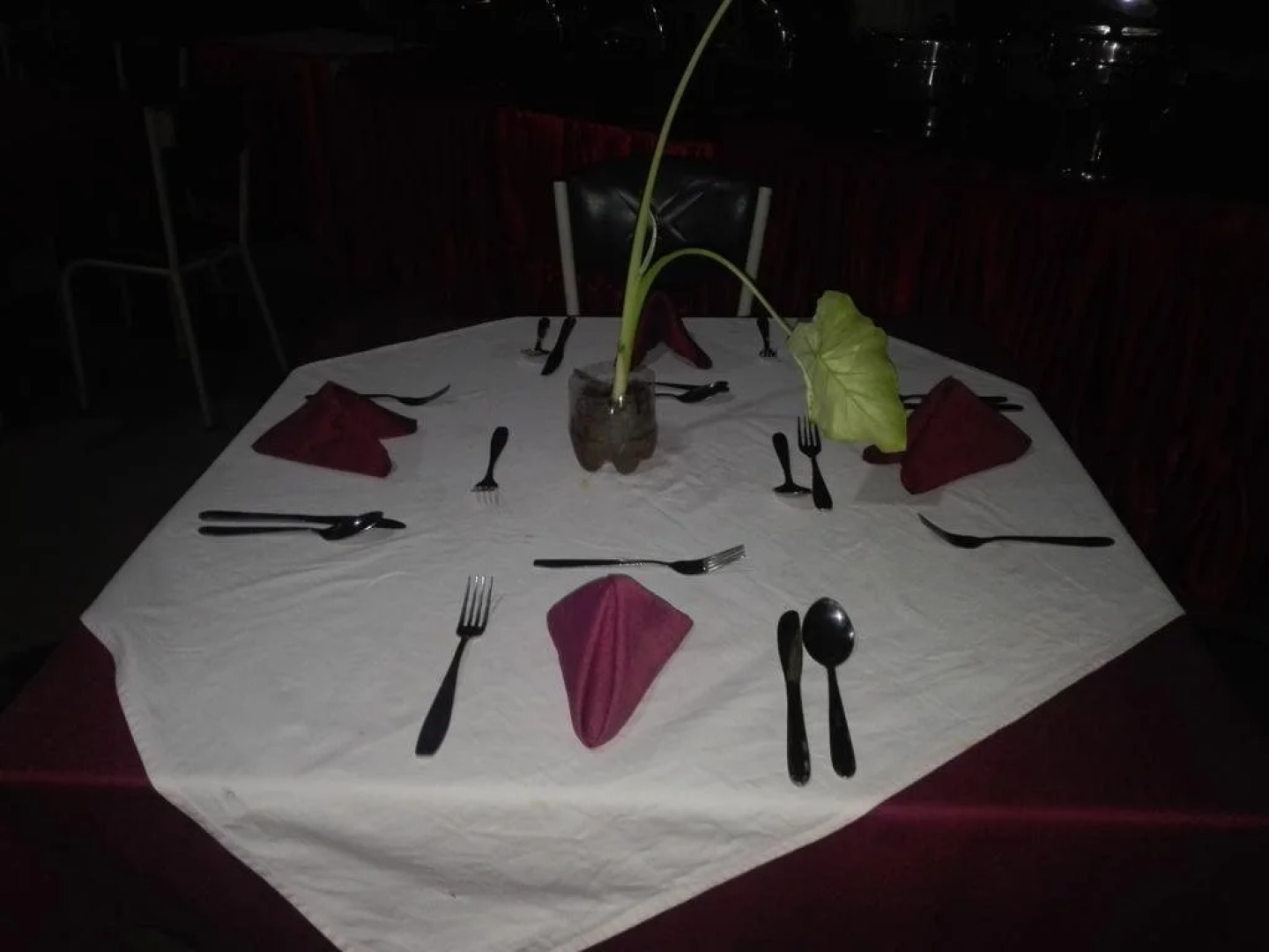 Peacock Solitude Hotel