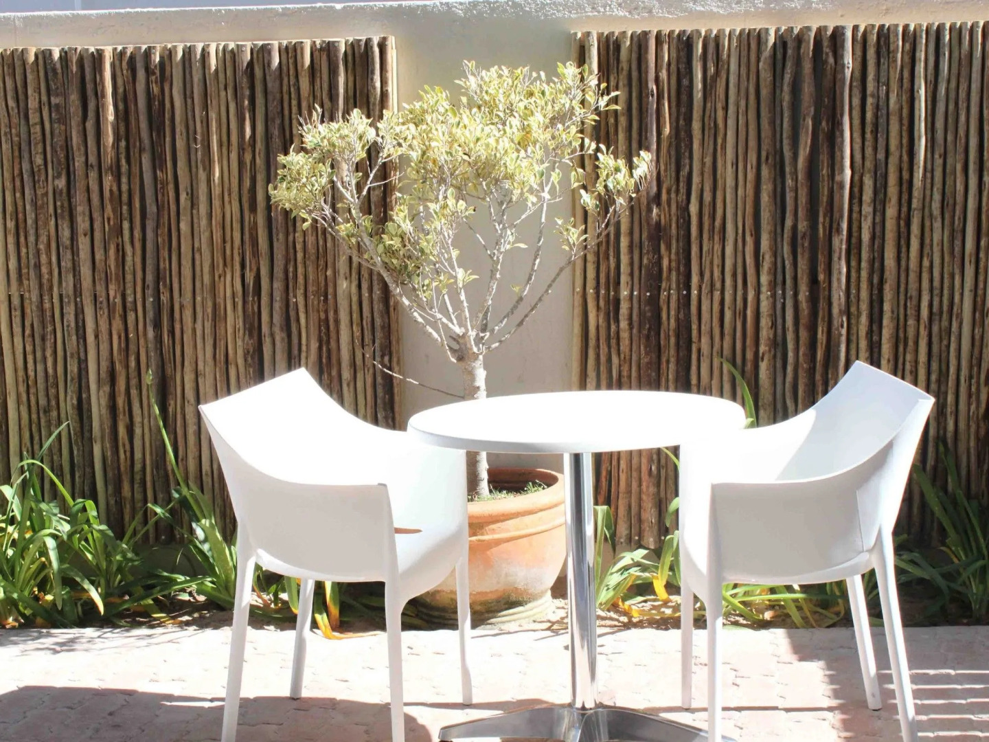 Robberg Beach Lodge - Lion Roars Hotels & Lodges