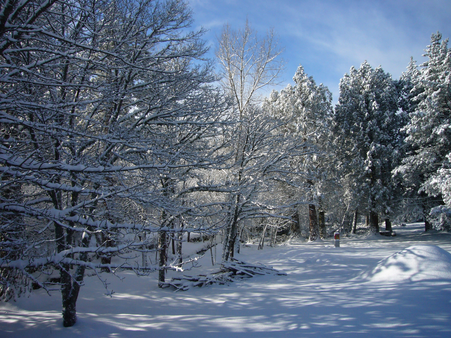 Vallicciola Nature Hotel