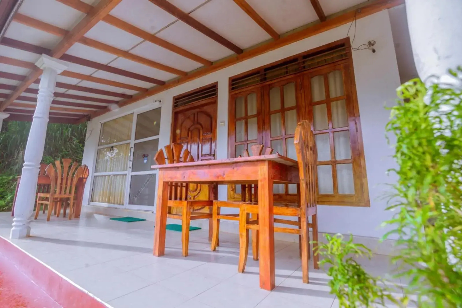 Rainforest River Edge