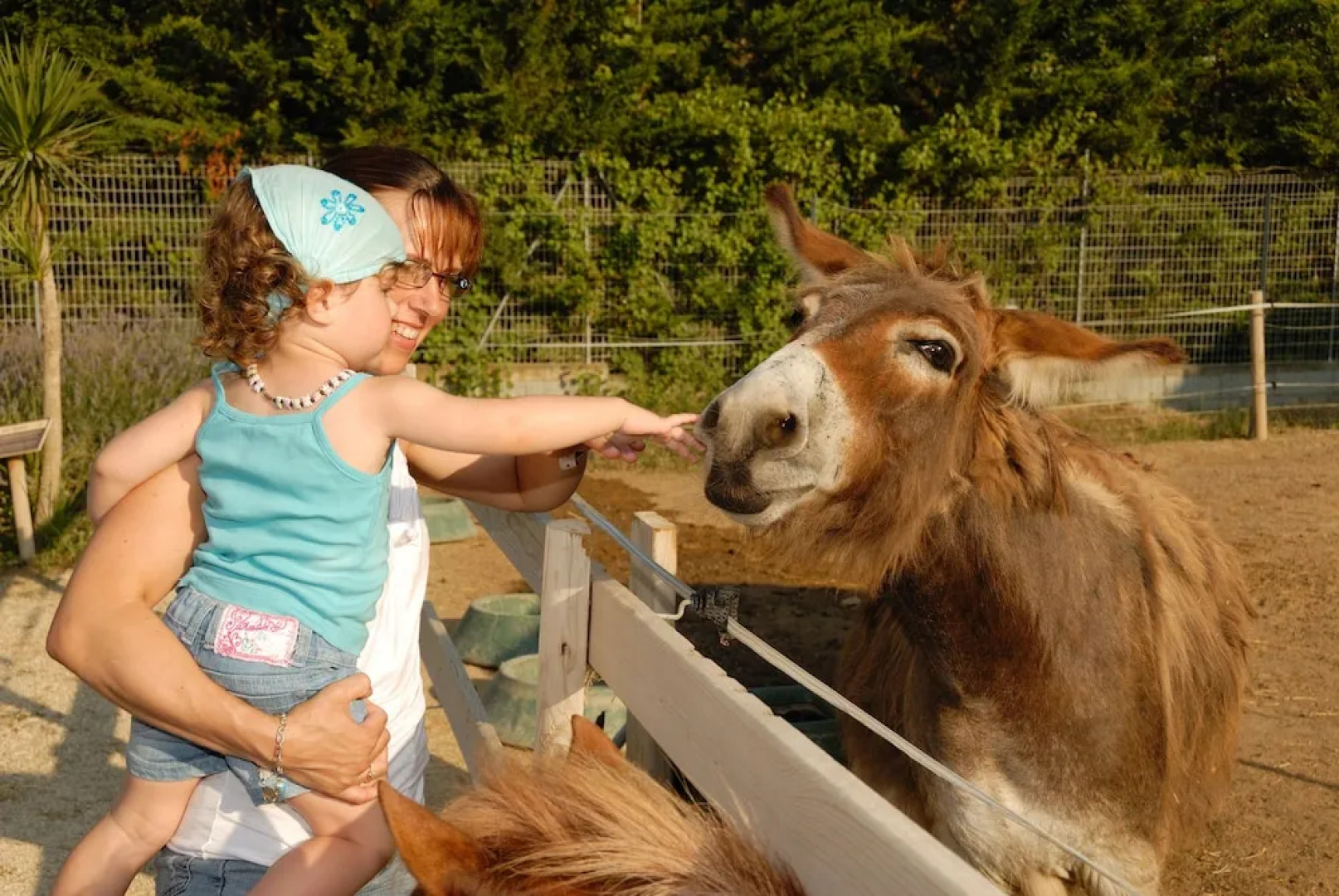 Happy Camp Domaine la Yole Camping Lodge