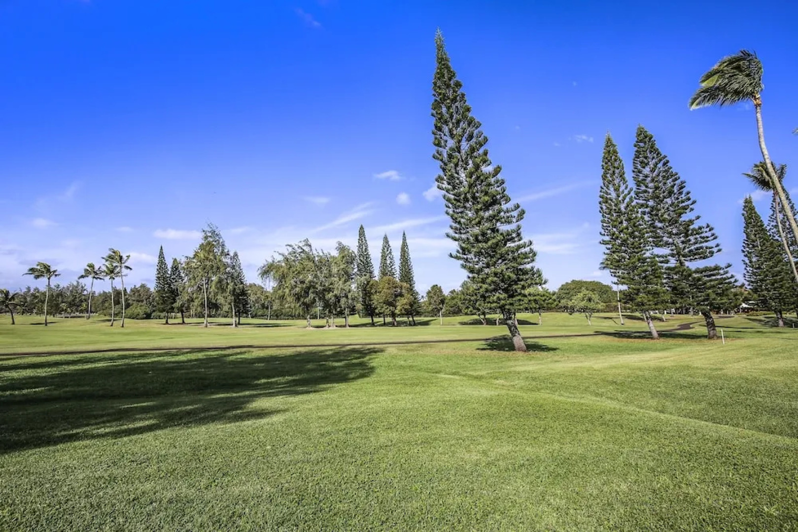 Turtle Bay Hale Mokulani***ta-055745536001 1 Bedroom Condo by RedAwning