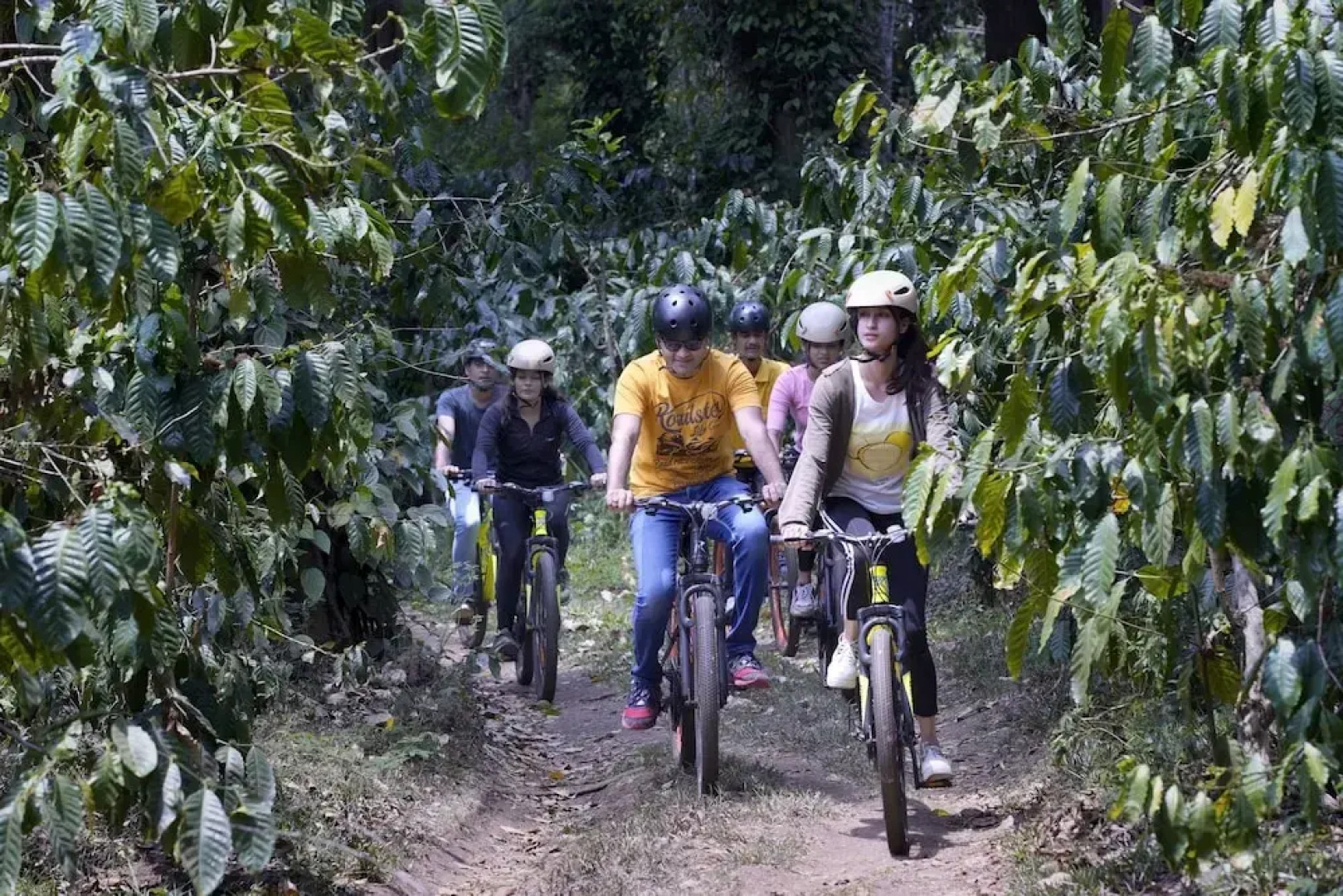 Paddington Resorts and Spa