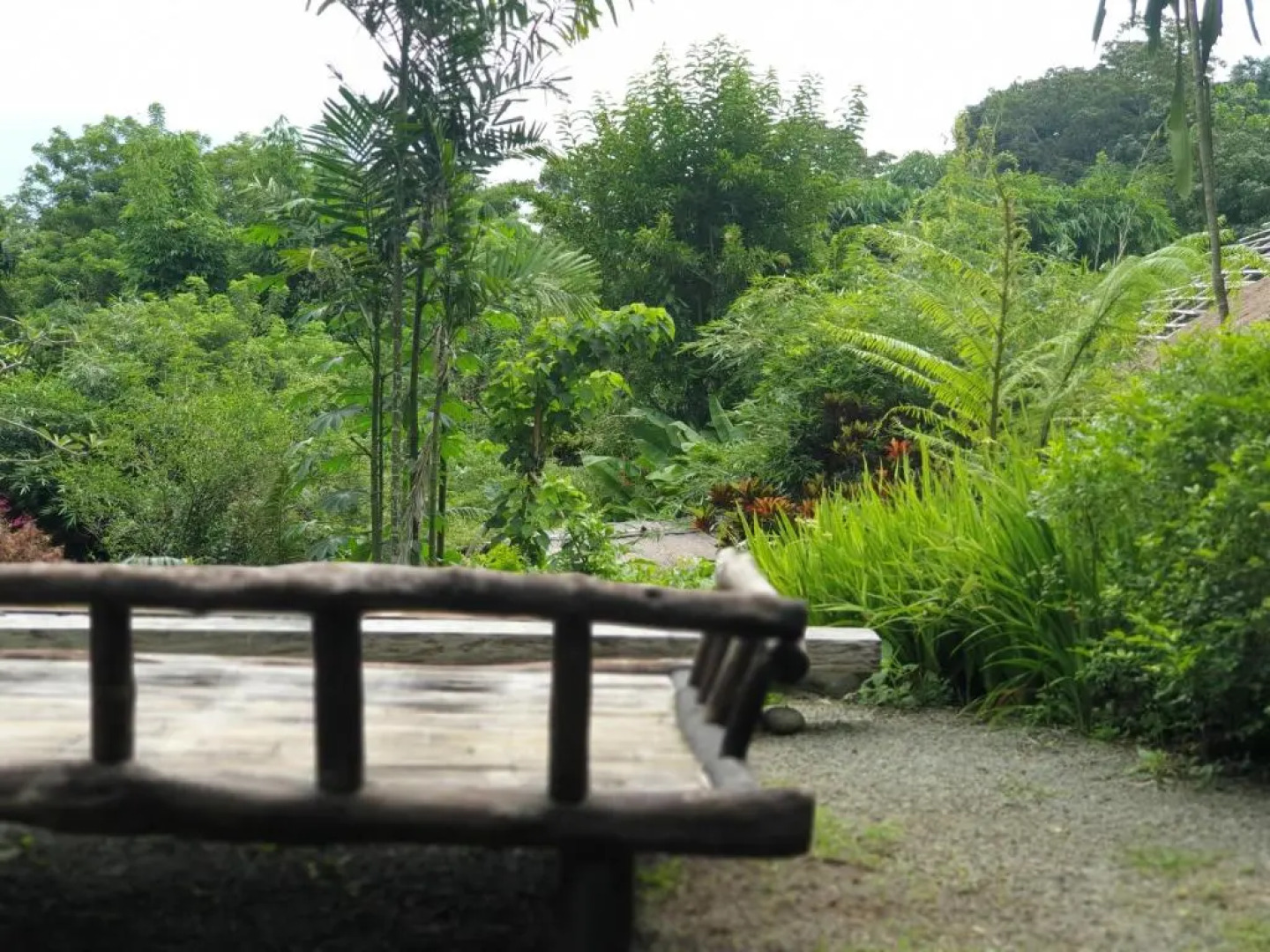 Maka-Kalinaw 5 Wabi sabi Room, Forest Deck View