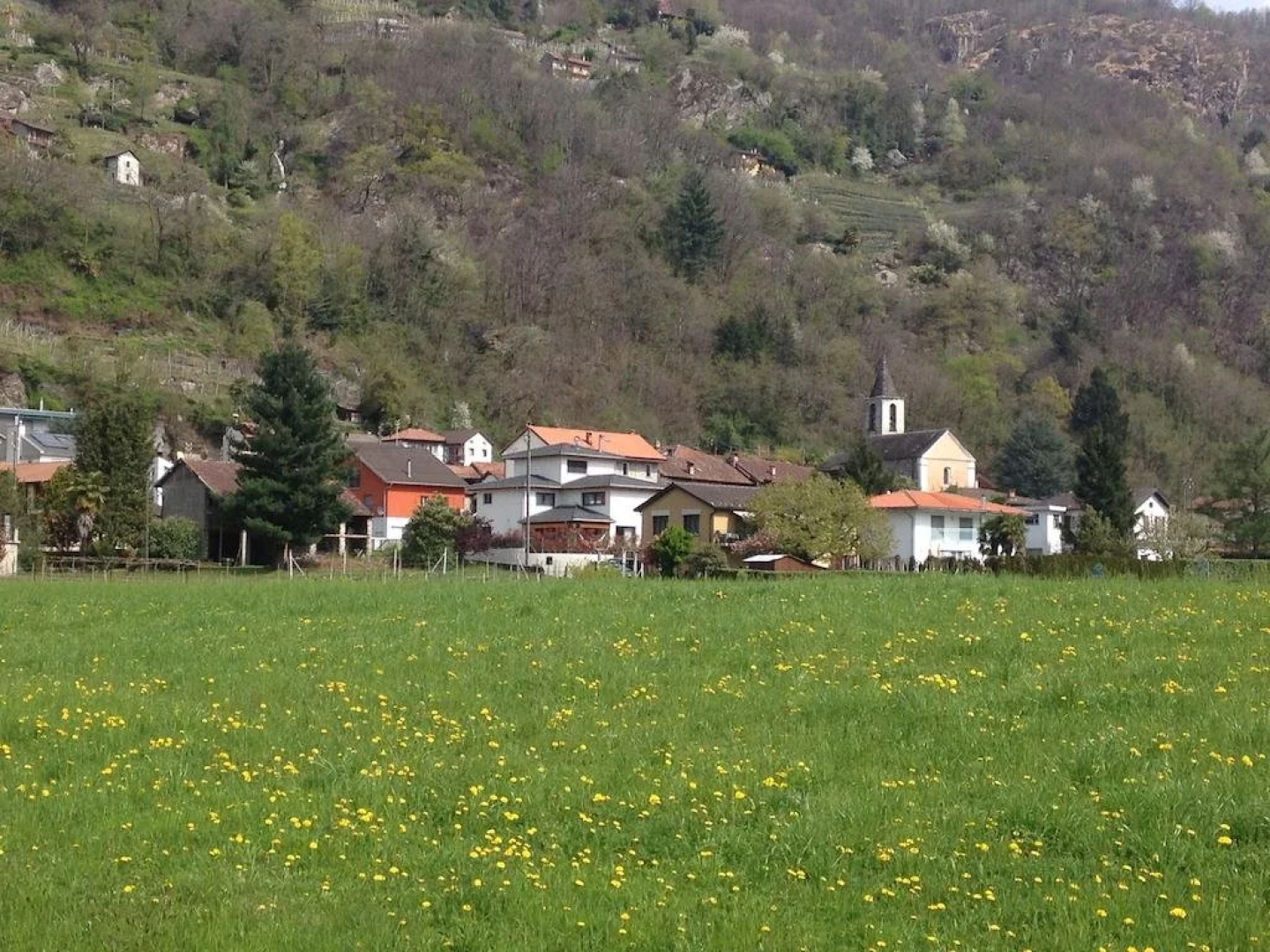 Annoni B&B