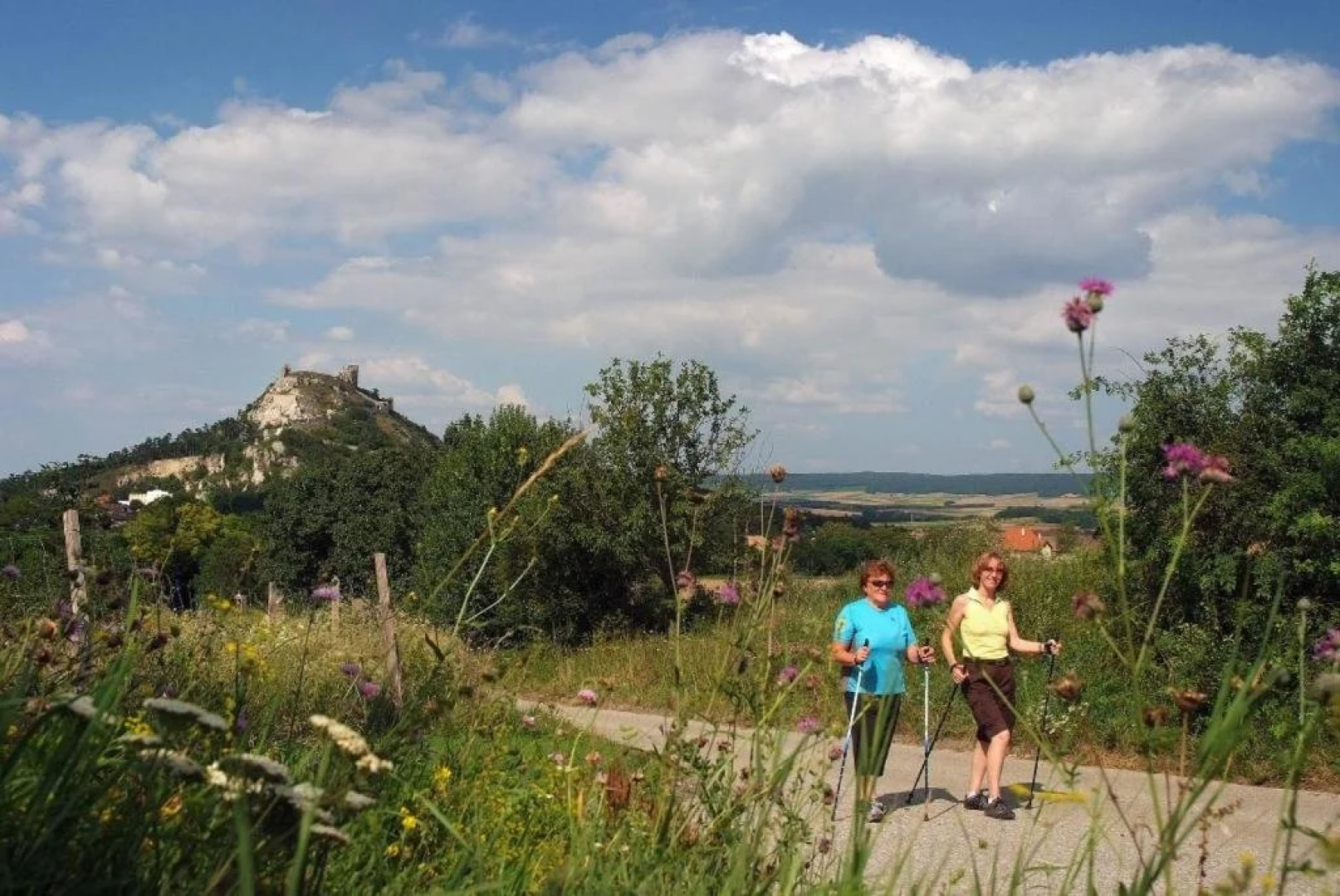 Weinbauernhof Vier Jahreszeiten