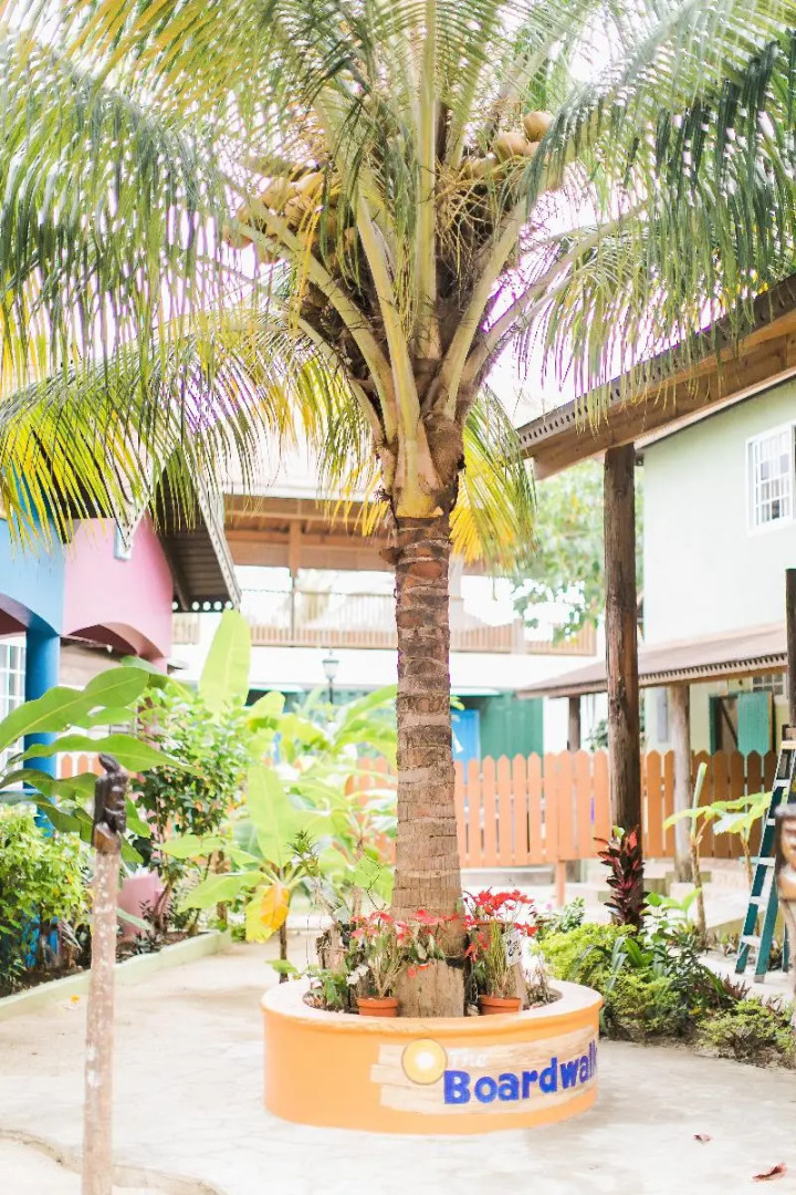 The Boardwalk Village Resor