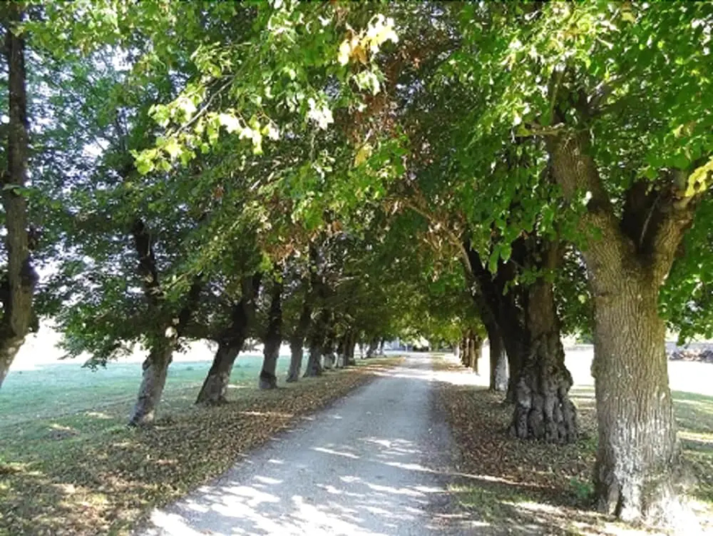 Chateau la Mothe Charente