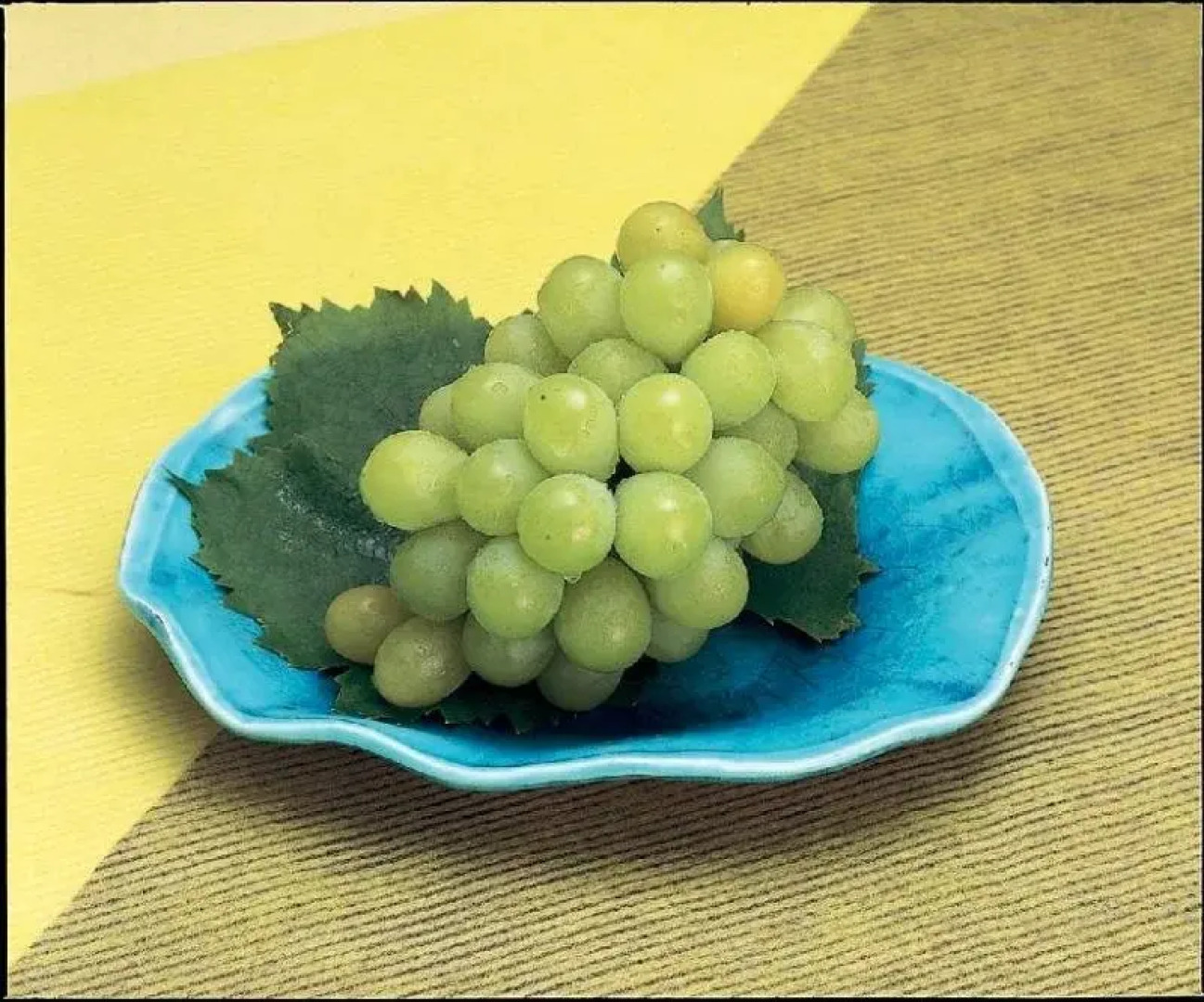 Tomata Onsen Noritake