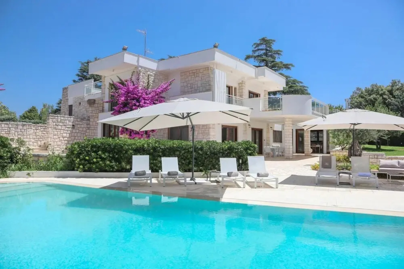 B B D Aprile Camera Tulipano