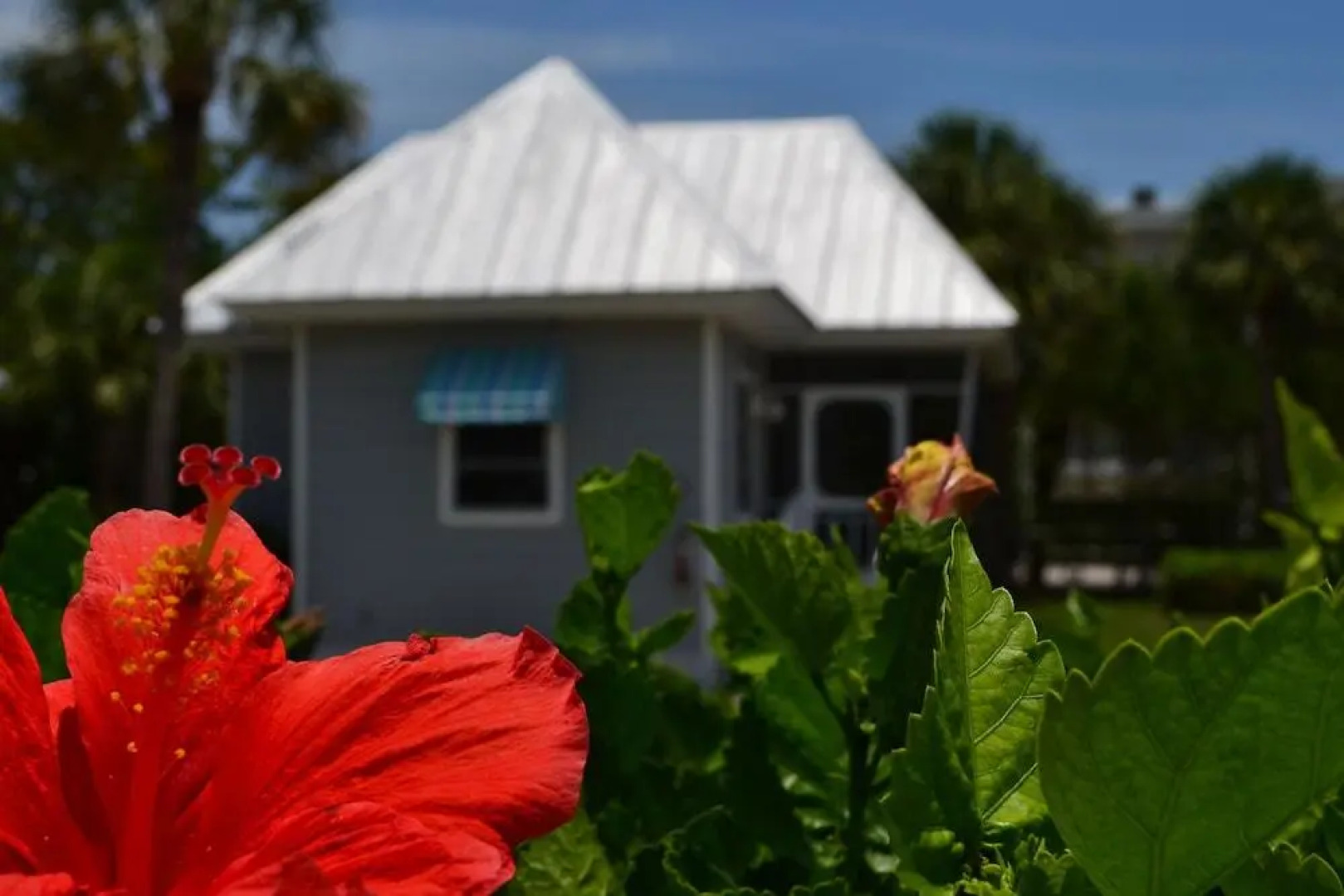 Shalimar Cottages And Motel