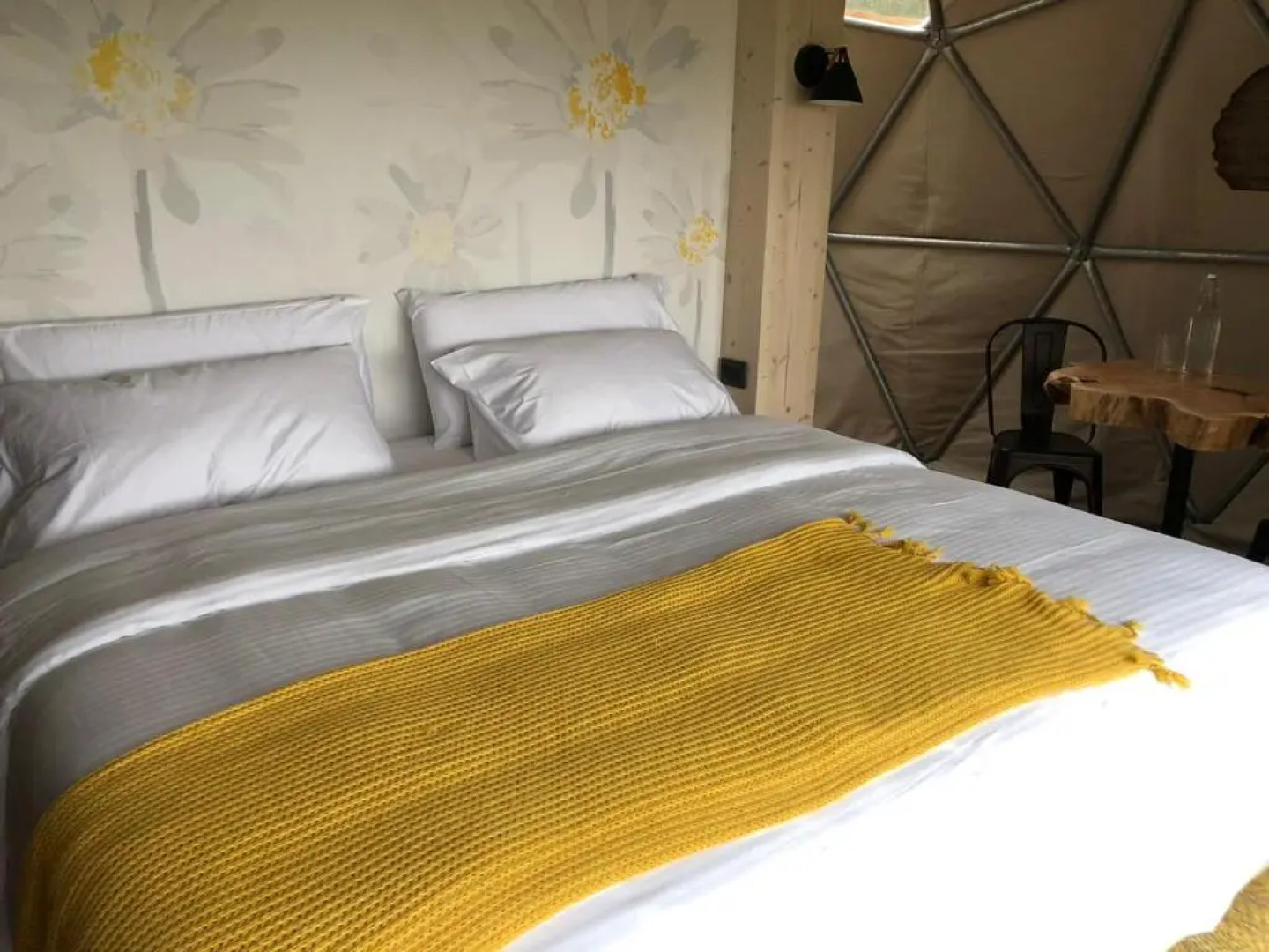 Big Bang Nature Stays