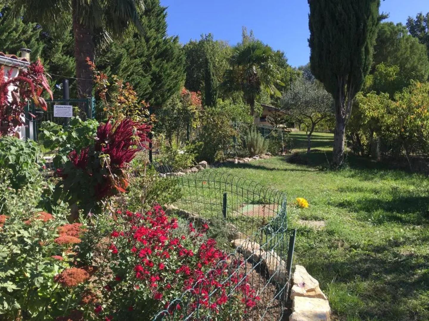 Ti'belle, ma tiny house adorée